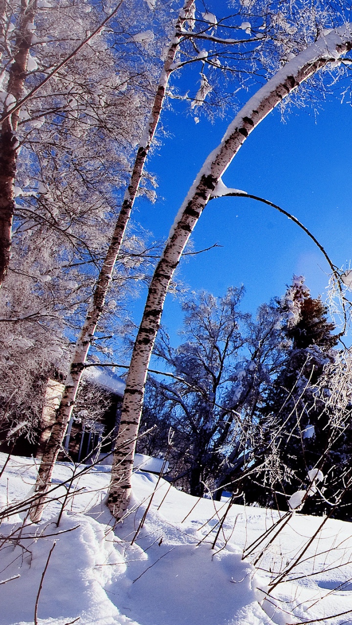 Montaña Cubierta de Nieve Bajo un Cielo Azul Durante el Día. Wallpaper in 720x1280 Resolution
