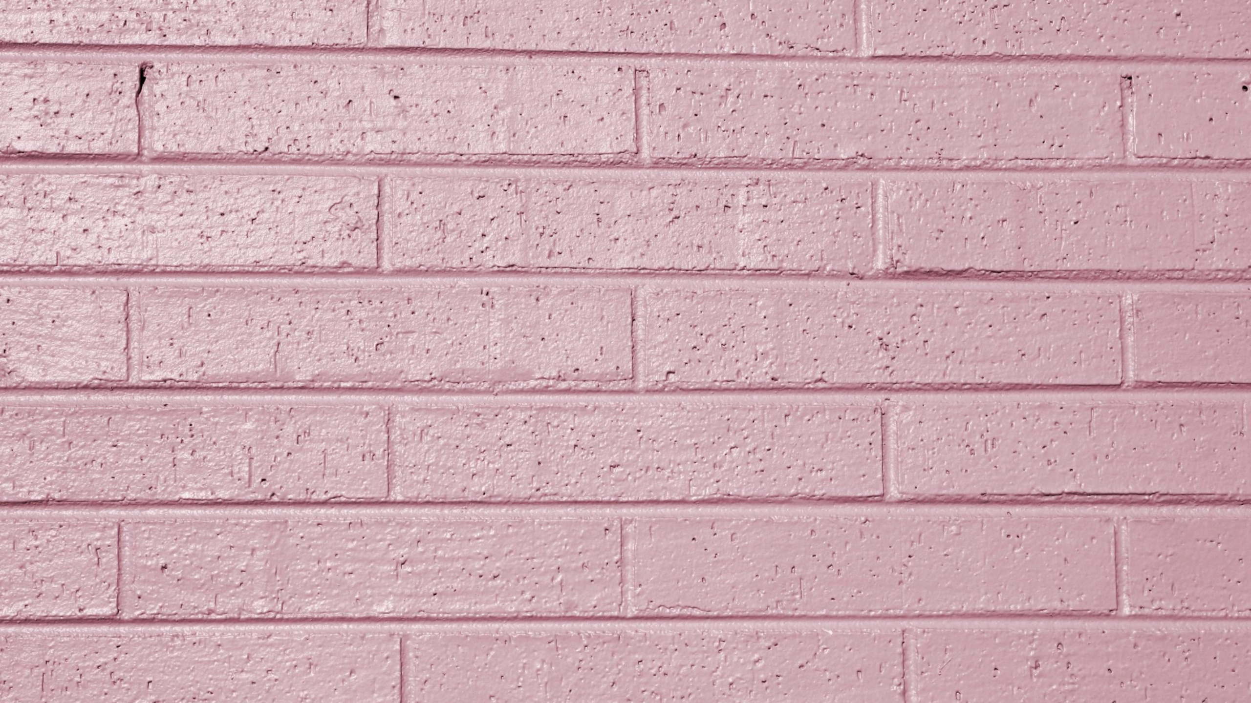 Mur de Briques Roses et Blanches. Wallpaper in 2560x1440 Resolution