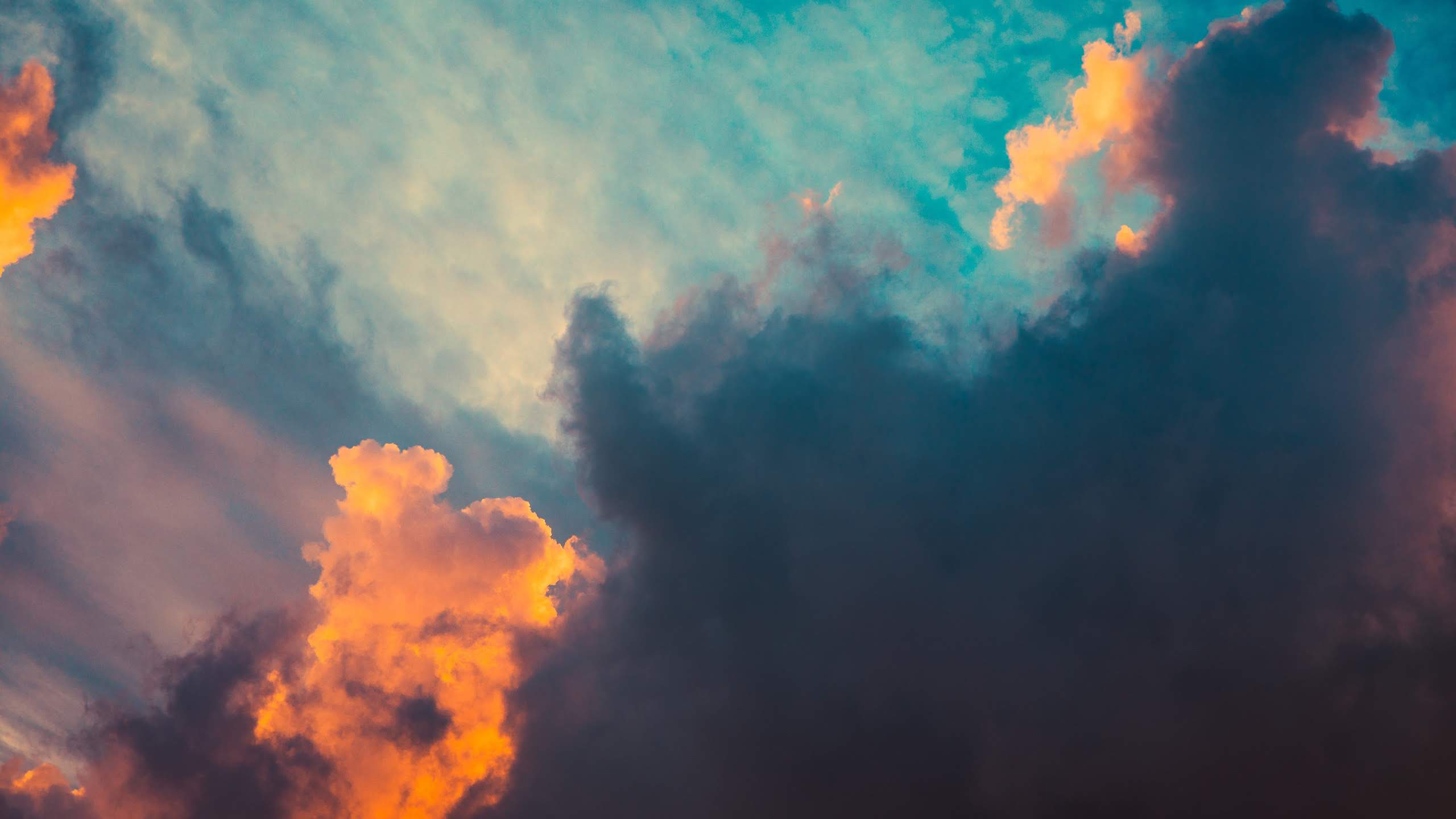 LineageOS, Linaje el 15 1, Android, Enraizamiento, Naturaleza. Wallpaper in 2560x1440 Resolution