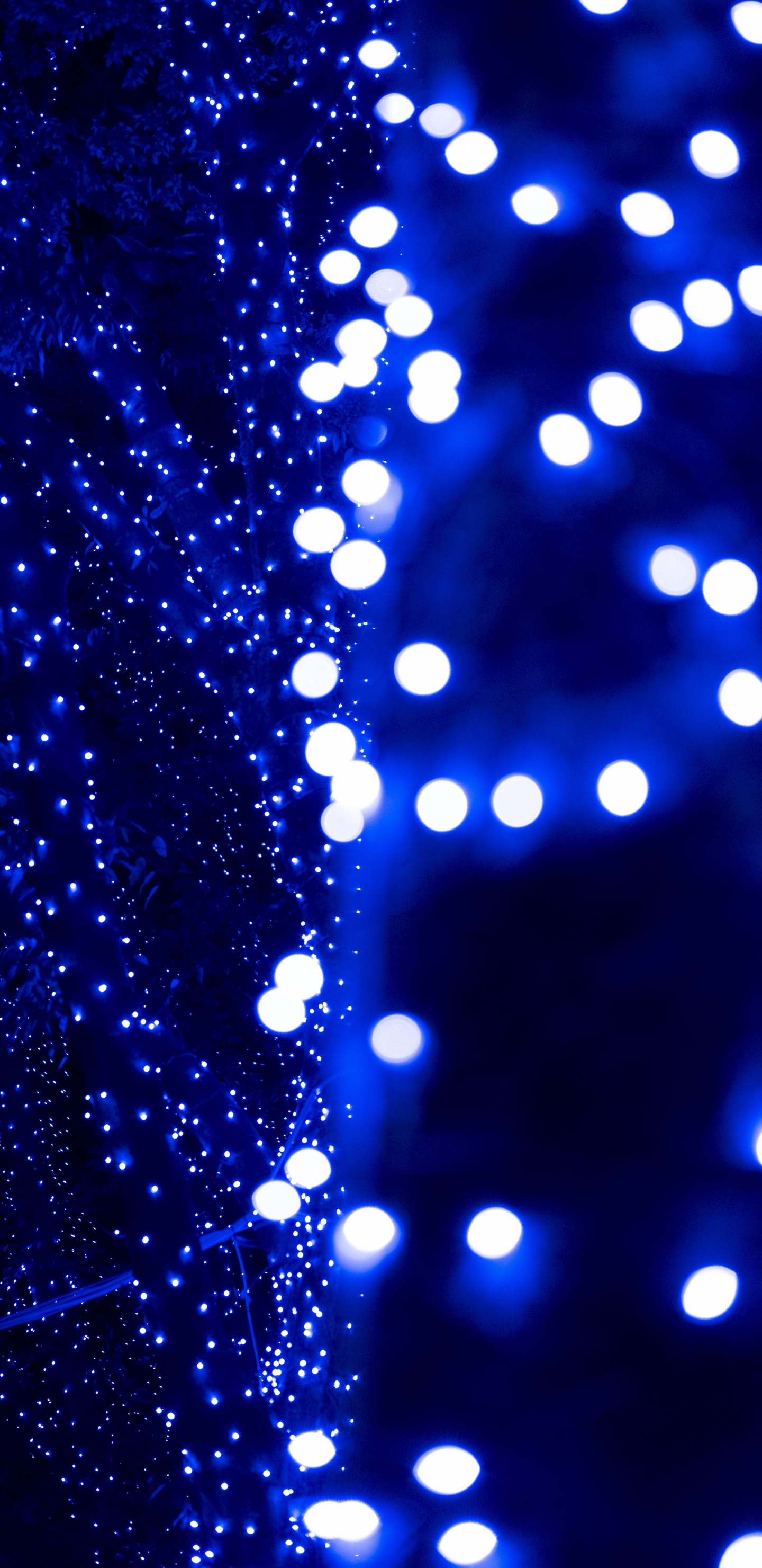 Blue and White Light Bokeh. Wallpaper in 1440x2960 Resolution