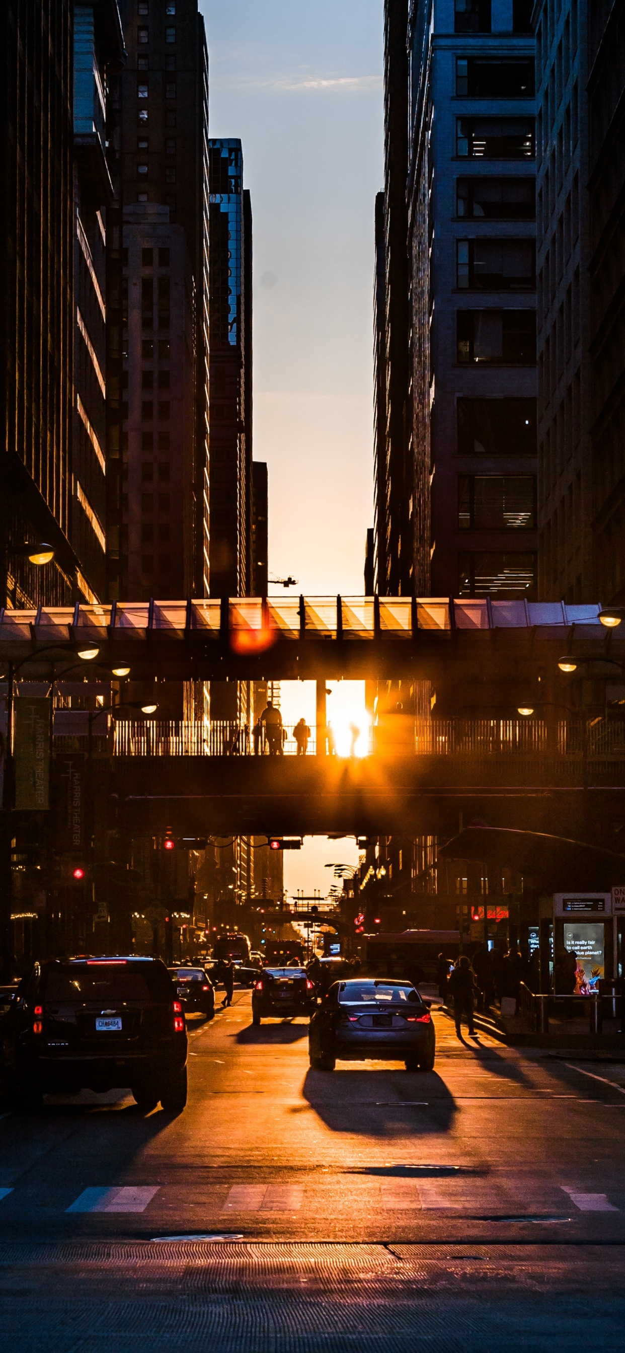 Voitures Sur Route Pendant la Nuit. Wallpaper in 1242x2688 Resolution