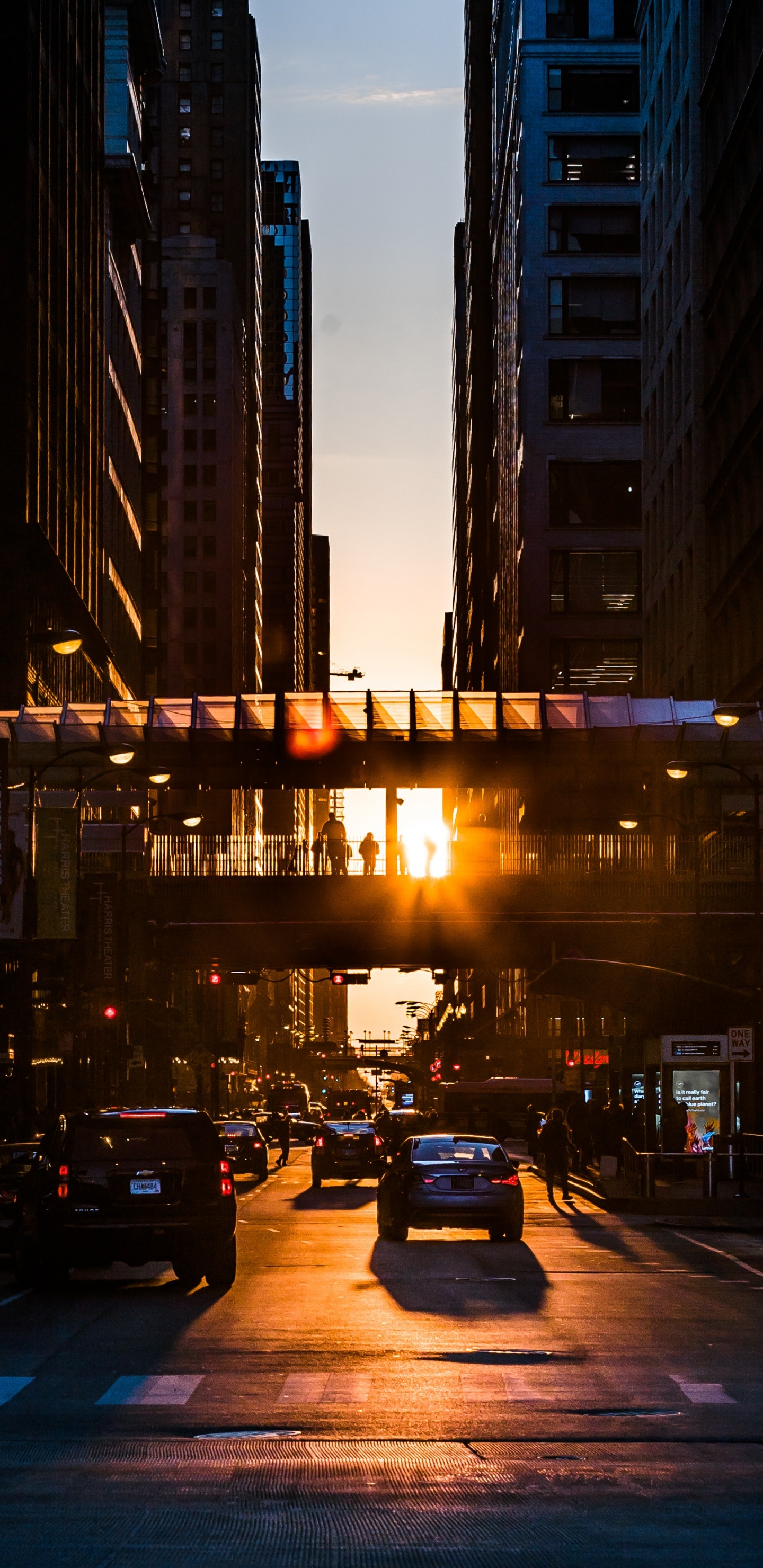 Voitures Sur Route Pendant la Nuit. Wallpaper in 1440x2960 Resolution