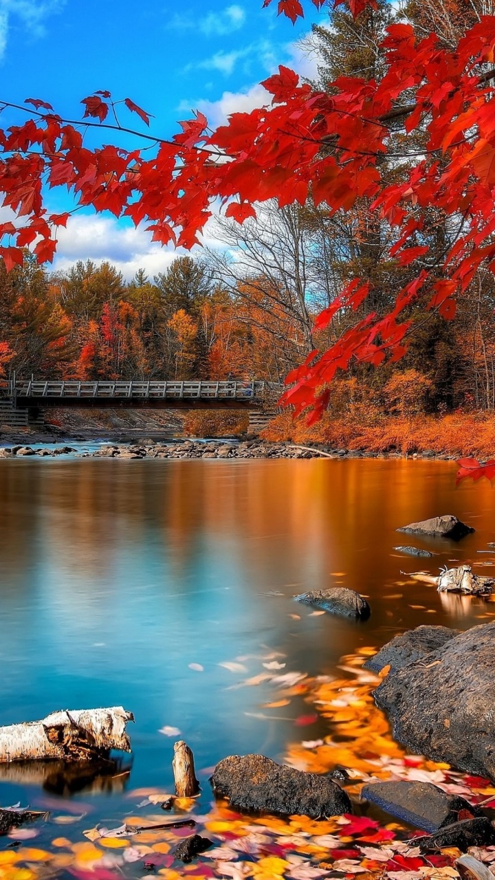Killarney National Park, Algonquin Provincial Park, Banff National Park, Killarney Provincial Park, National Park. Wallpaper in 720x1280 Resolution