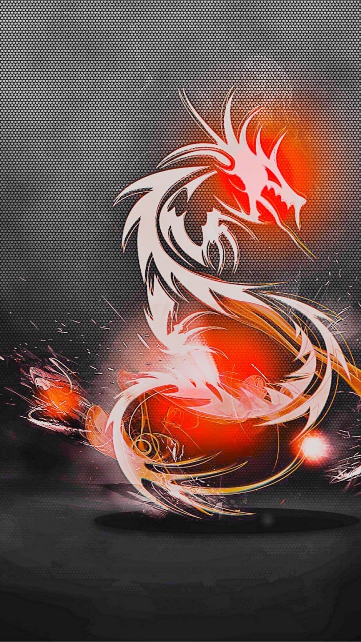 Illustration D'oiseau Blanc et Orange. Wallpaper in 720x1280 Resolution