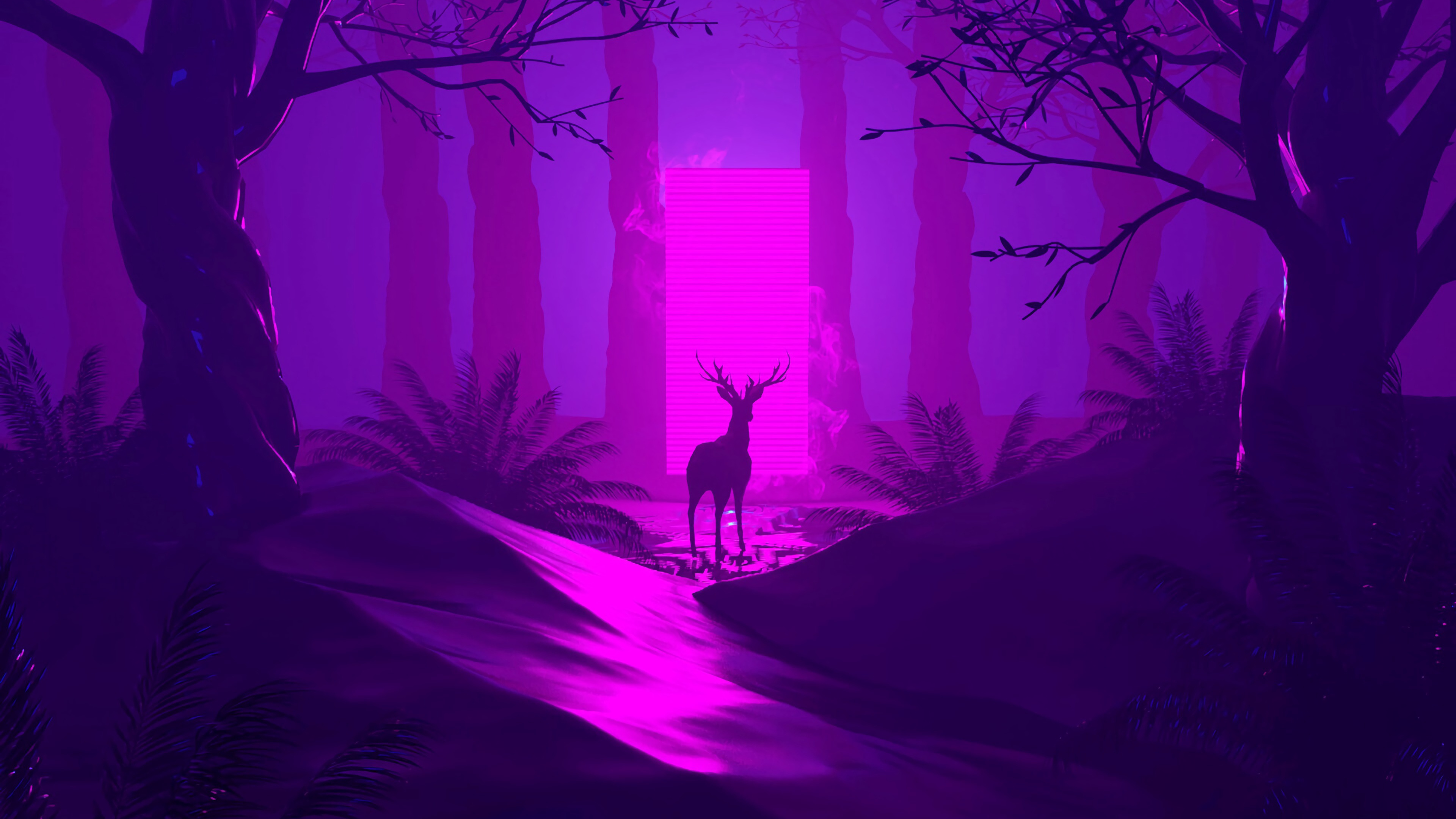 Kahle Bäume im Wald Während Der Nacht. Wallpaper in 3840x2160 Resolution