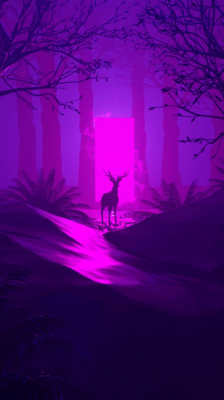 Kahle Bäume im Wald Während Der Nacht. Wallpaper in 750x1334 Resolution