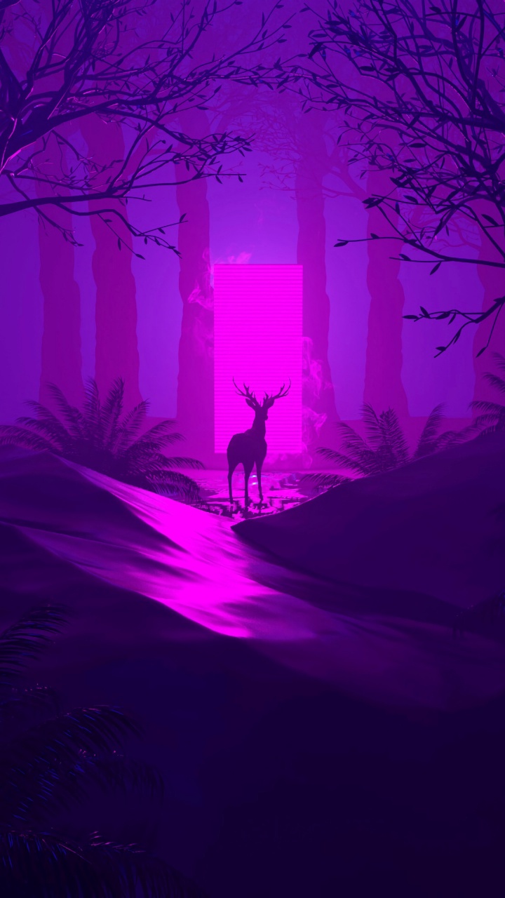 Bare Trees on Forest During Night Time. Wallpaper in 720x1280 Resolution