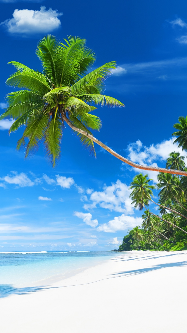 游船, 加勒比, 热带地区, 度假, 旅游业 壁纸 750x1334 允许