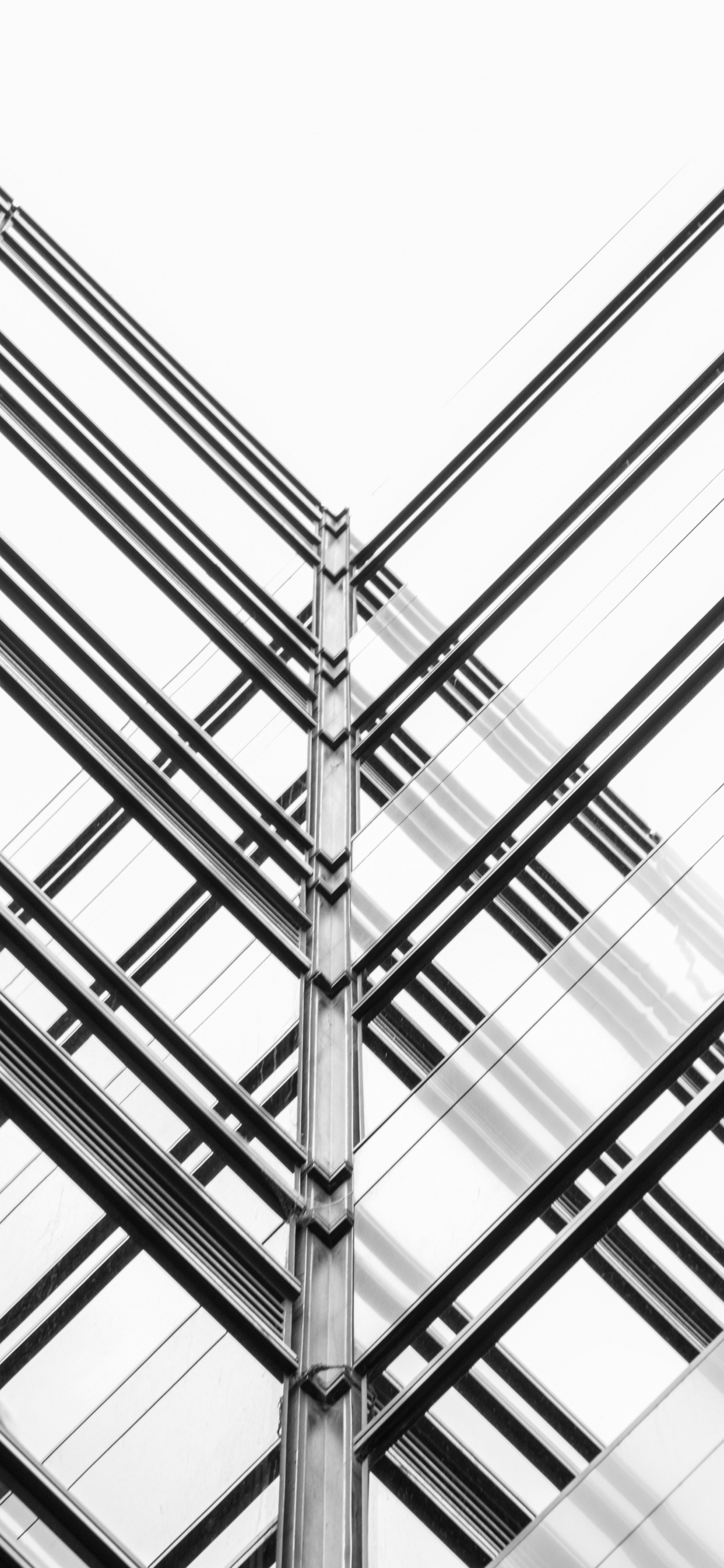 建筑, 正面, 采光, 对称, 屋顶 壁纸 1242x2688 允许