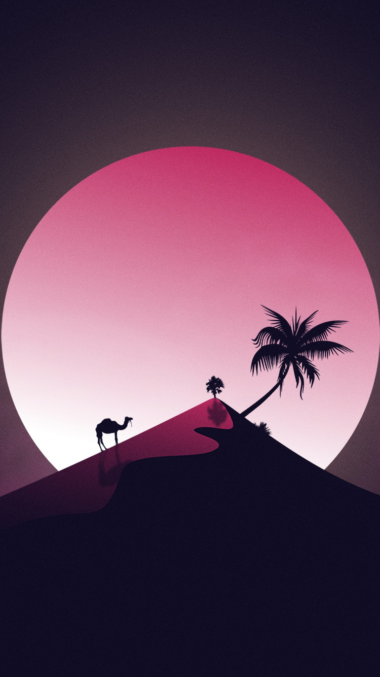 Silhouette Der Palme Während Der Nacht. Wallpaper in 750x1334 Resolution