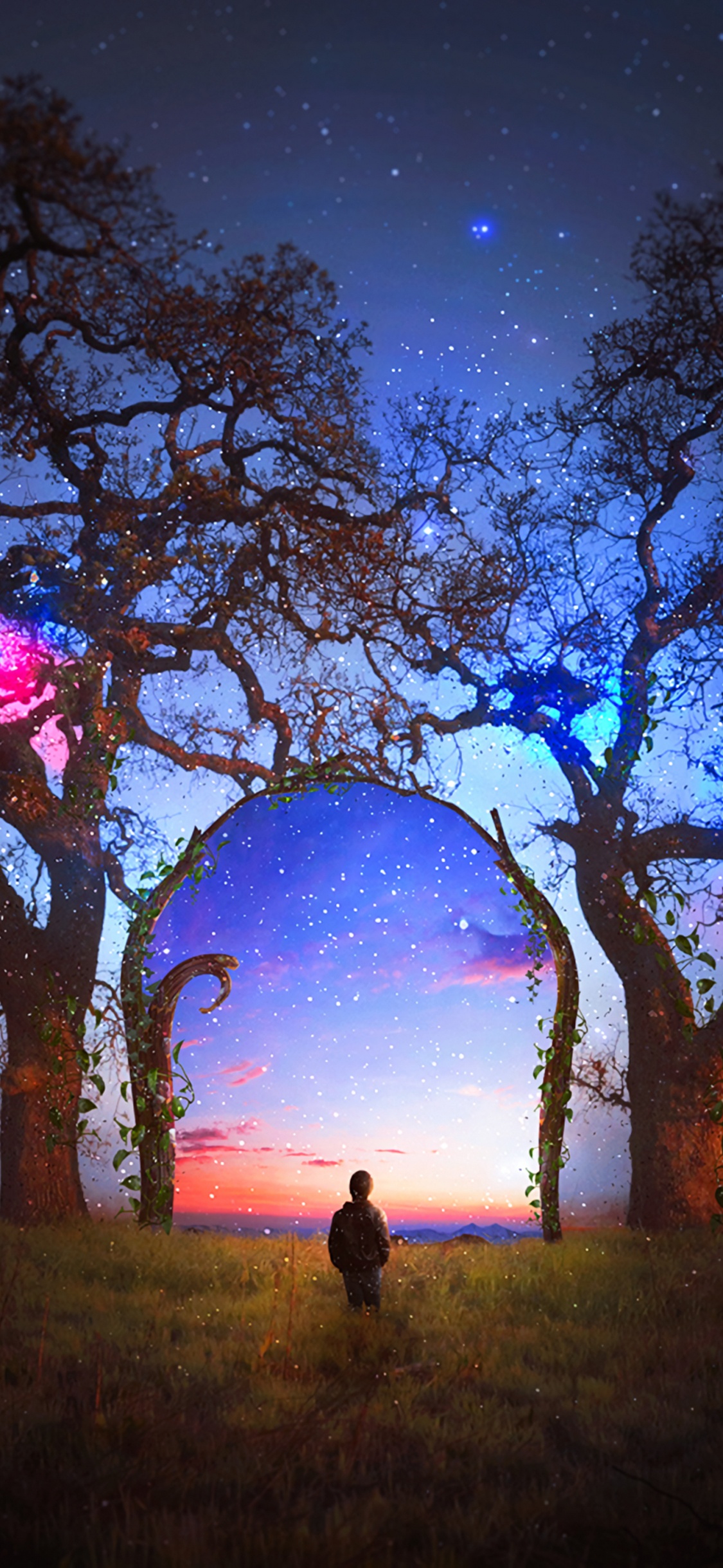 Silhouette Einer Person, Die Auf Einer Wiese Unter Lila Himmel Steht Standing. Wallpaper in 1125x2436 Resolution