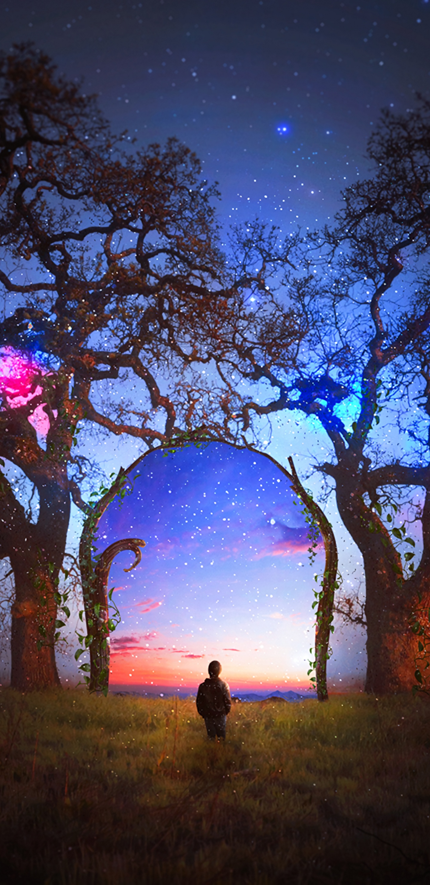 Silhouette Einer Person, Die Auf Einer Wiese Unter Lila Himmel Steht Standing. Wallpaper in 1440x2960 Resolution