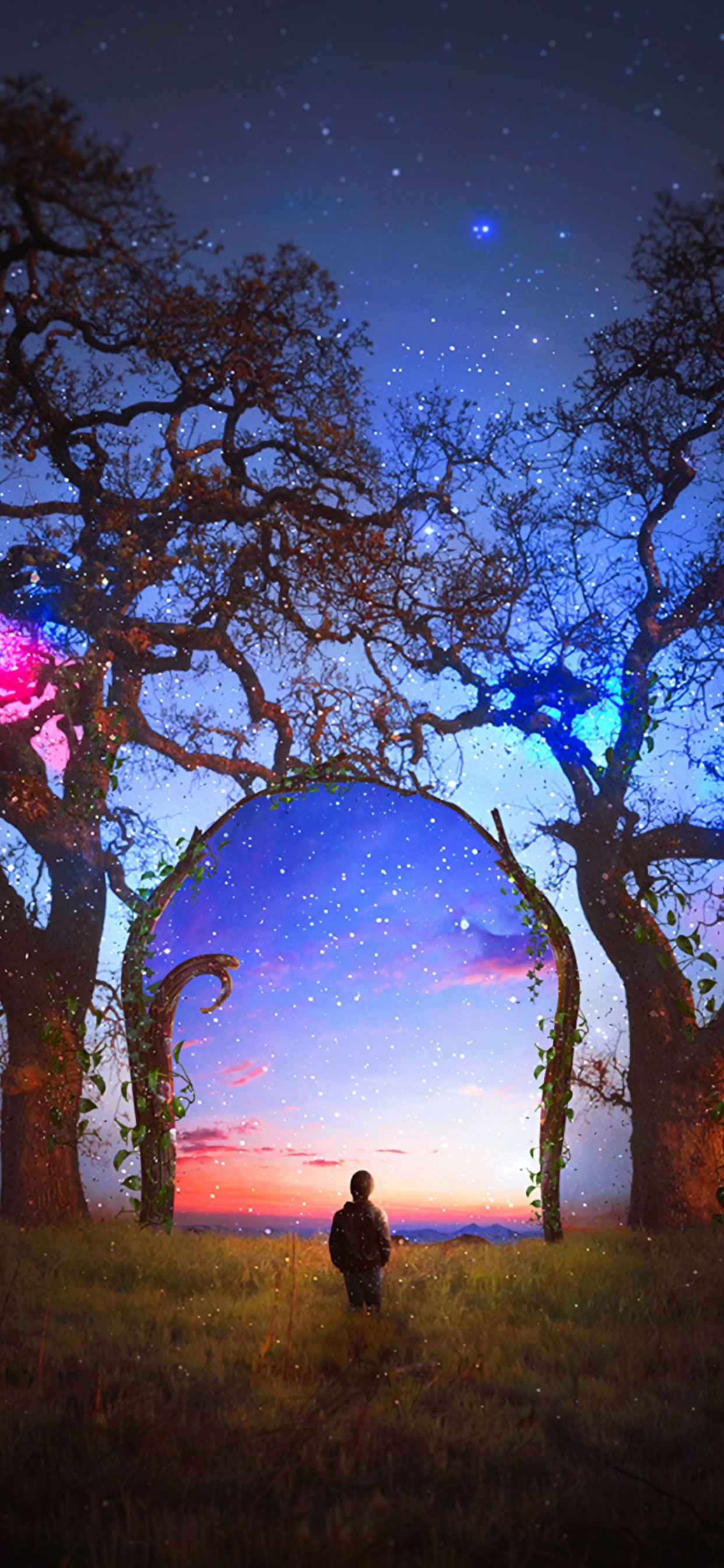 Silhouette of Person Standing on Grass Field Under Purple Sky. Wallpaper in 1242x2688 Resolution