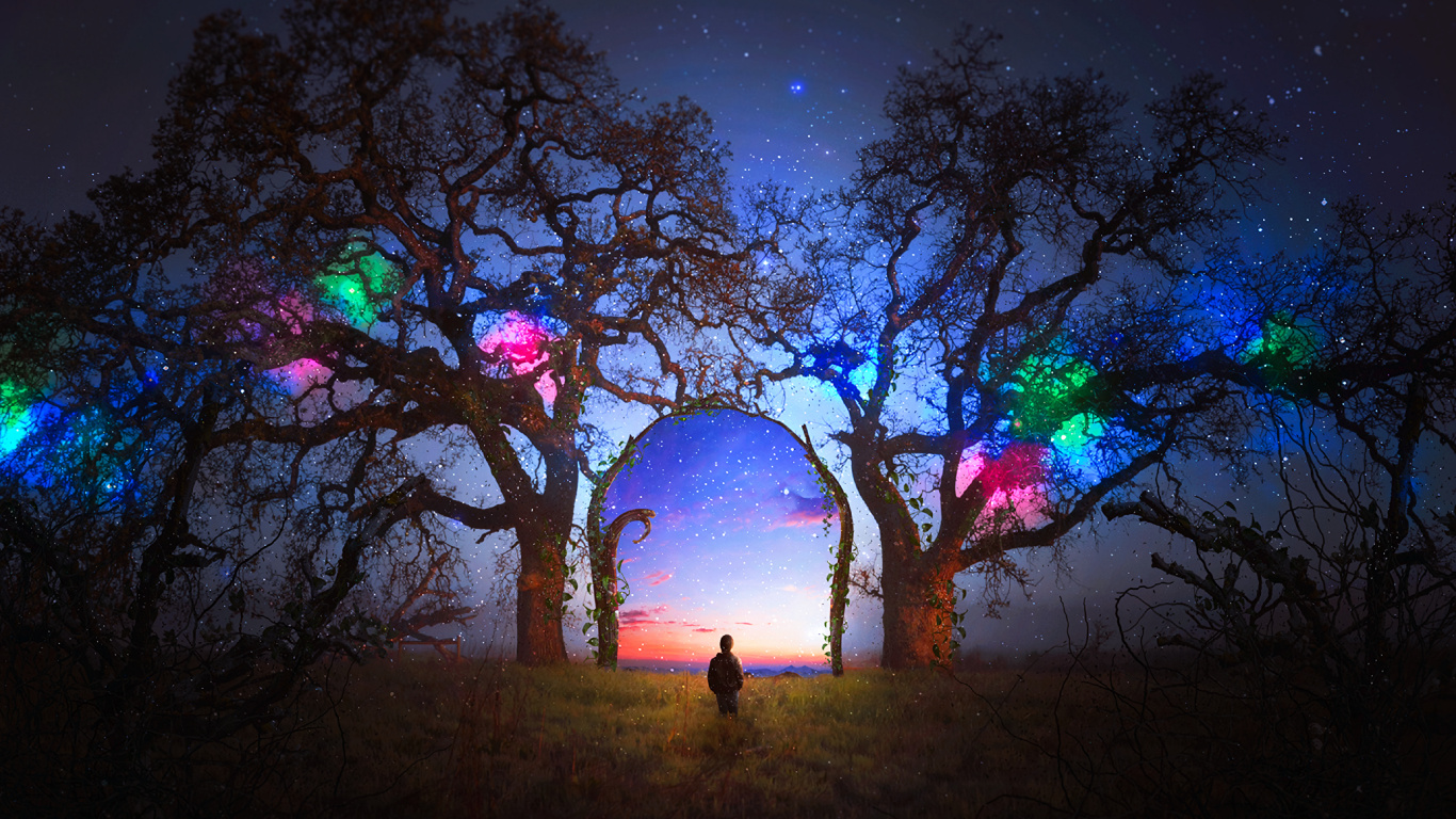 Silhouette of Person Standing on Grass Field Under Purple Sky. Wallpaper in 1366x768 Resolution