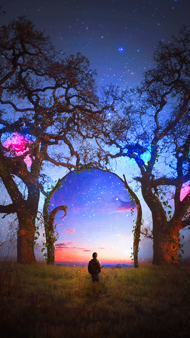 Silhouette of Person Standing on Grass Field Under Purple Sky. Wallpaper in 750x1334 Resolution