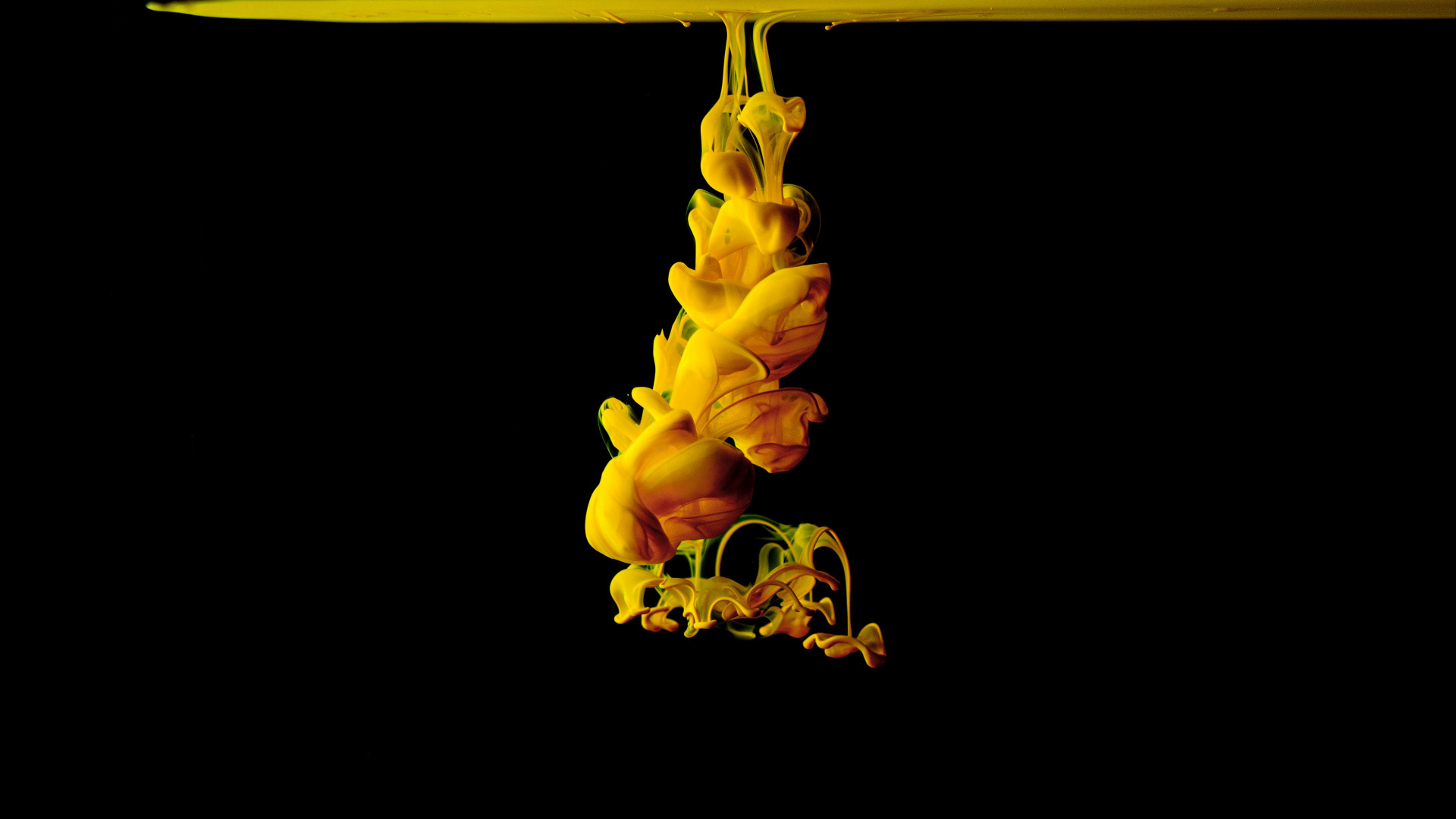 Flora, Ink, Plant, Flower, Yellow. Wallpaper in 1920x1080 Resolution