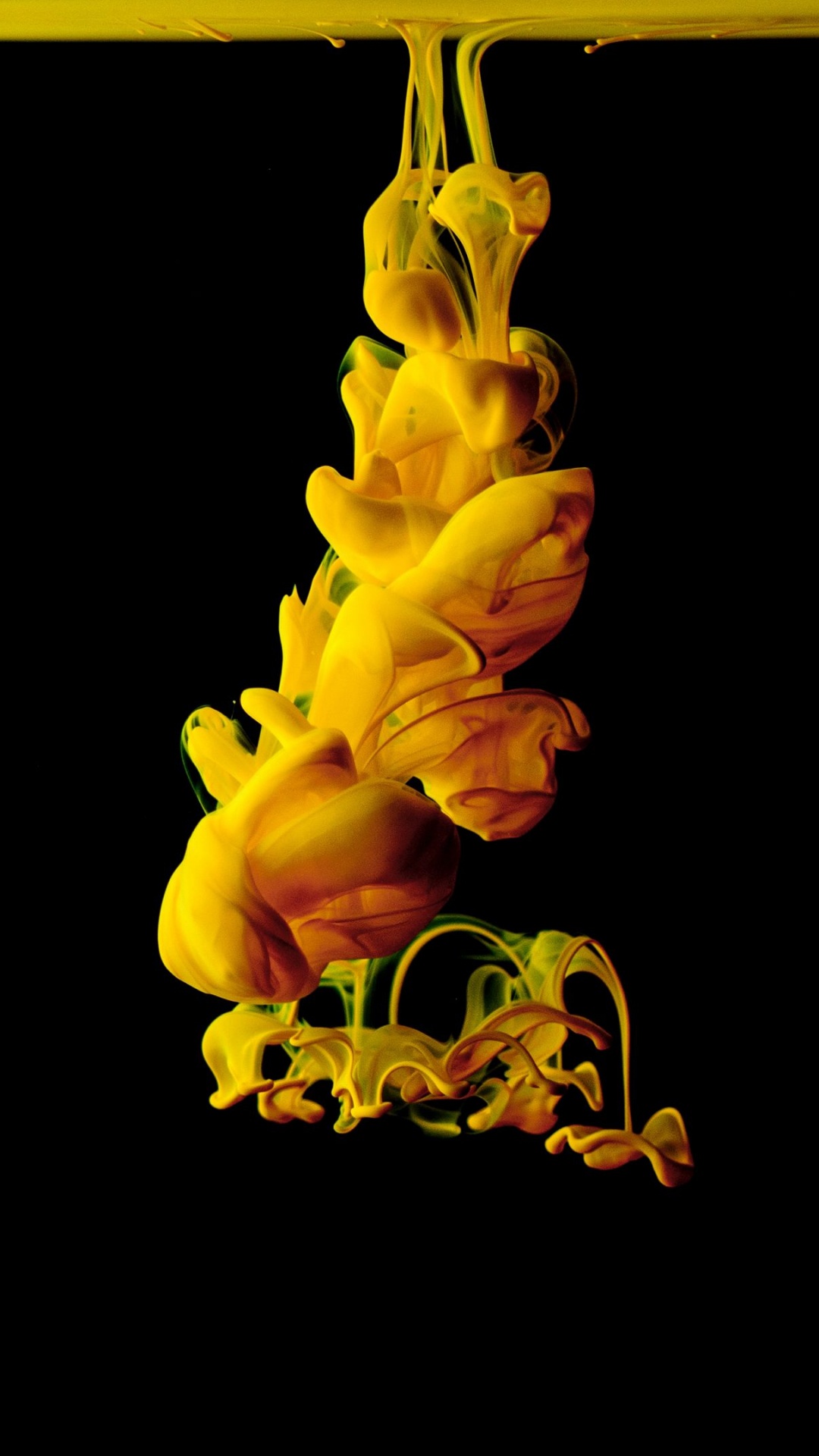 Flora, Tinta, Amarillo, Pétalo, Planta Terrestre. Wallpaper in 1080x1920 Resolution