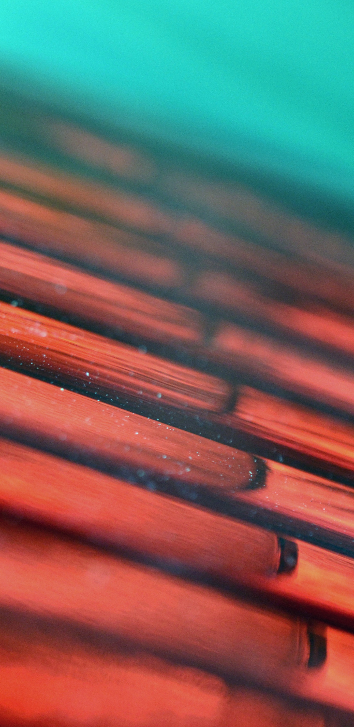 Brown and Green Wooden Surface. Wallpaper in 1440x2960 Resolution