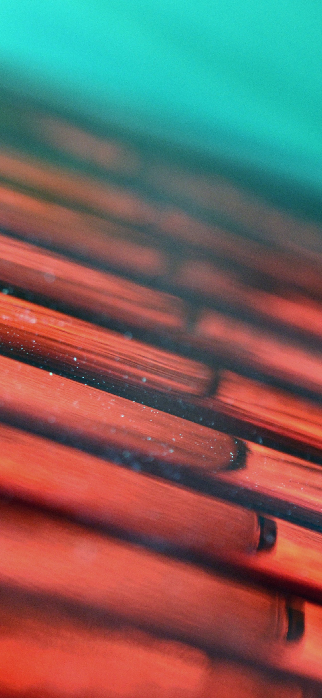 Surface en Bois Marron et Vert. Wallpaper in 1125x2436 Resolution