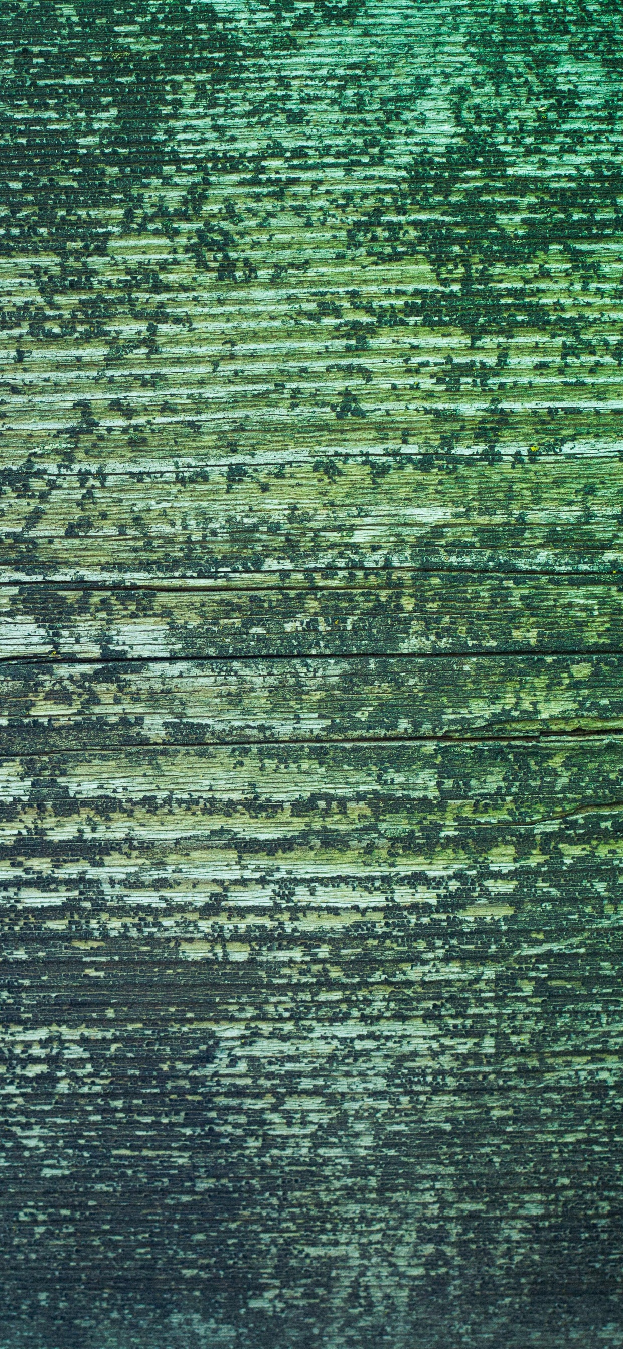 Peinture Abstraite Verte et Noire. Wallpaper in 1242x2688 Resolution