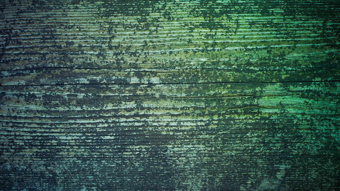 Pintura Abstracta Verde y Negra. Wallpaper in 1366x768 Resolution