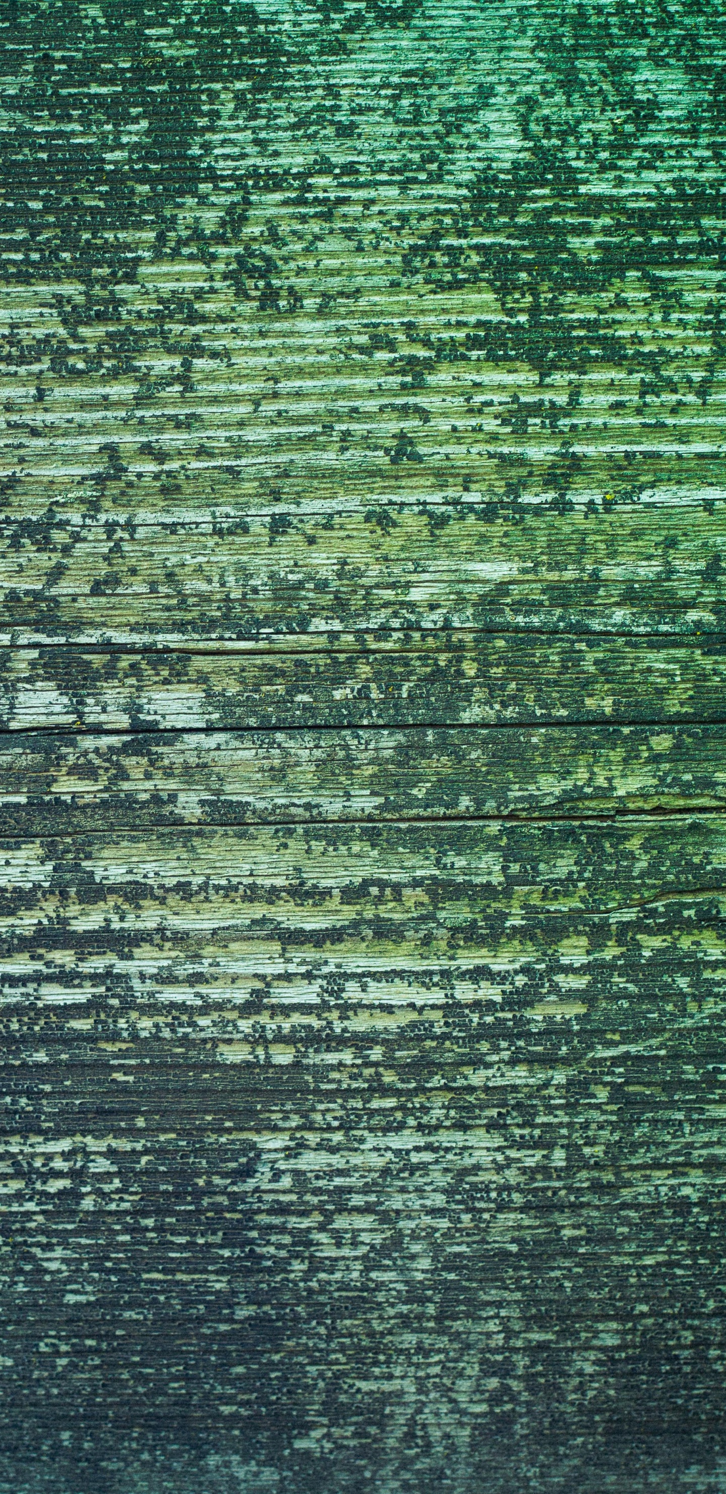 Pintura Abstracta Verde y Negra. Wallpaper in 1440x2960 Resolution