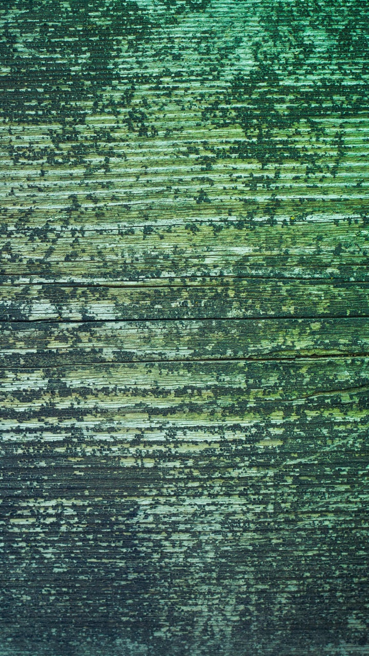 Green and Black Abstract Painting. Wallpaper in 720x1280 Resolution