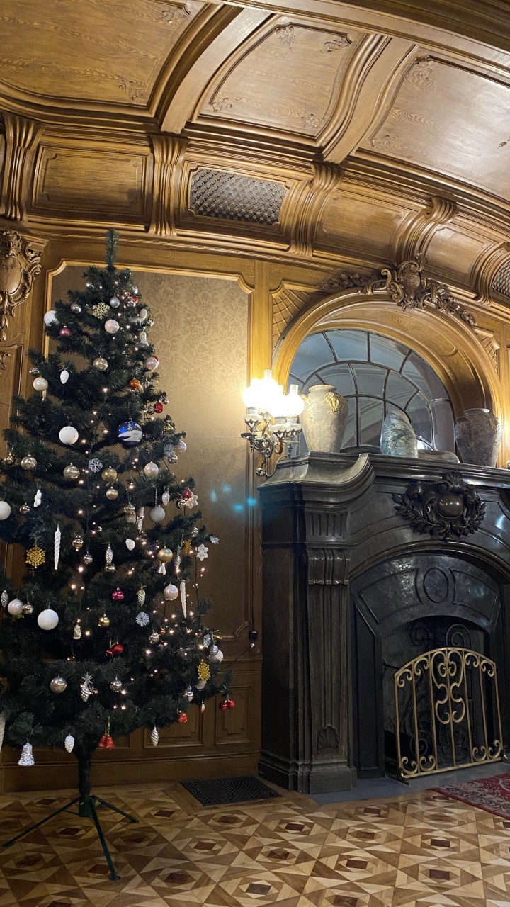 Weihnachtsbaum, Weihnachten, Etage, Innenarchitektur, Bodenbelag. Wallpaper in 720x1280 Resolution