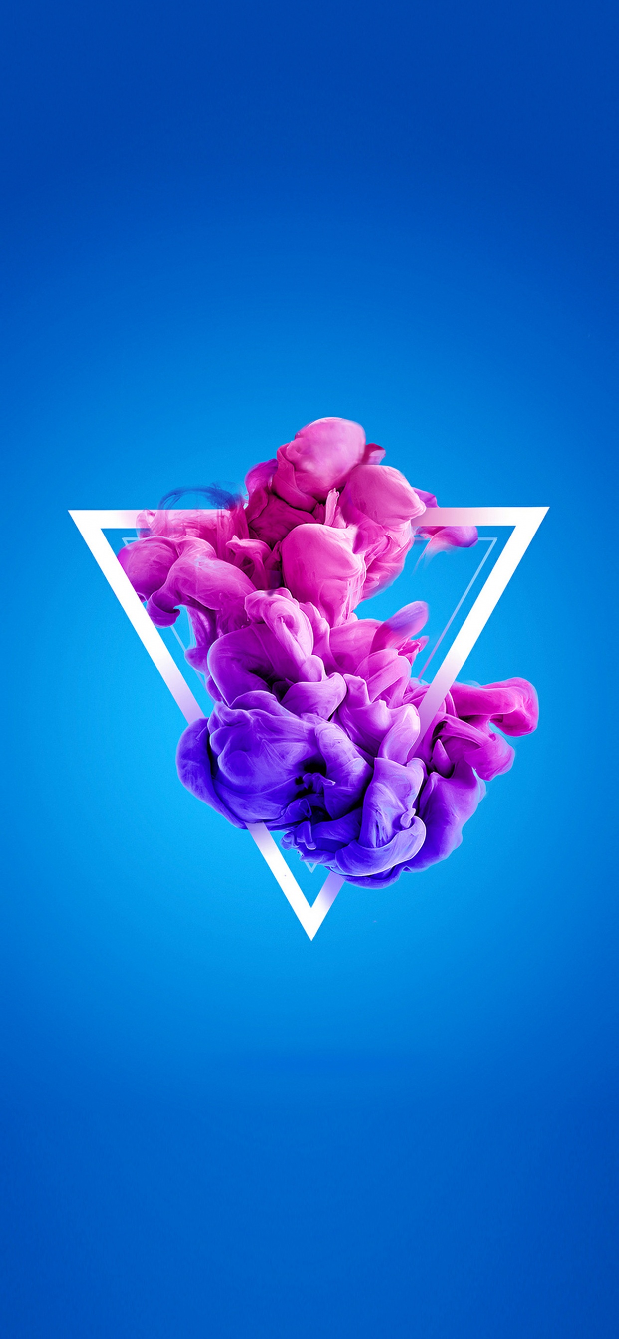 Blütenblatt, Purpur, Geste, Pink, Magenta. Wallpaper in 1242x2688 Resolution