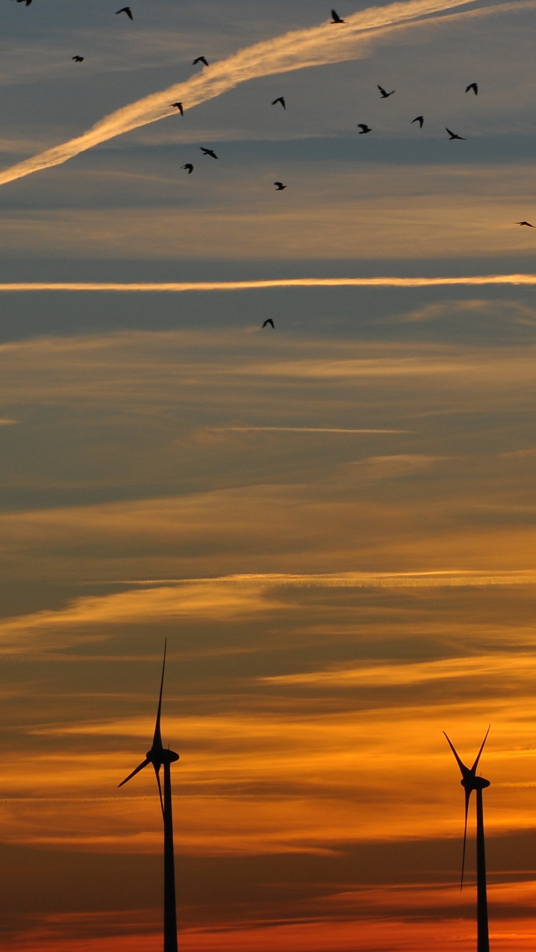 Pájaros Volando Sobre Las Nubes Durante la Puesta de Sol. Wallpaper in 1080x1920 Resolution