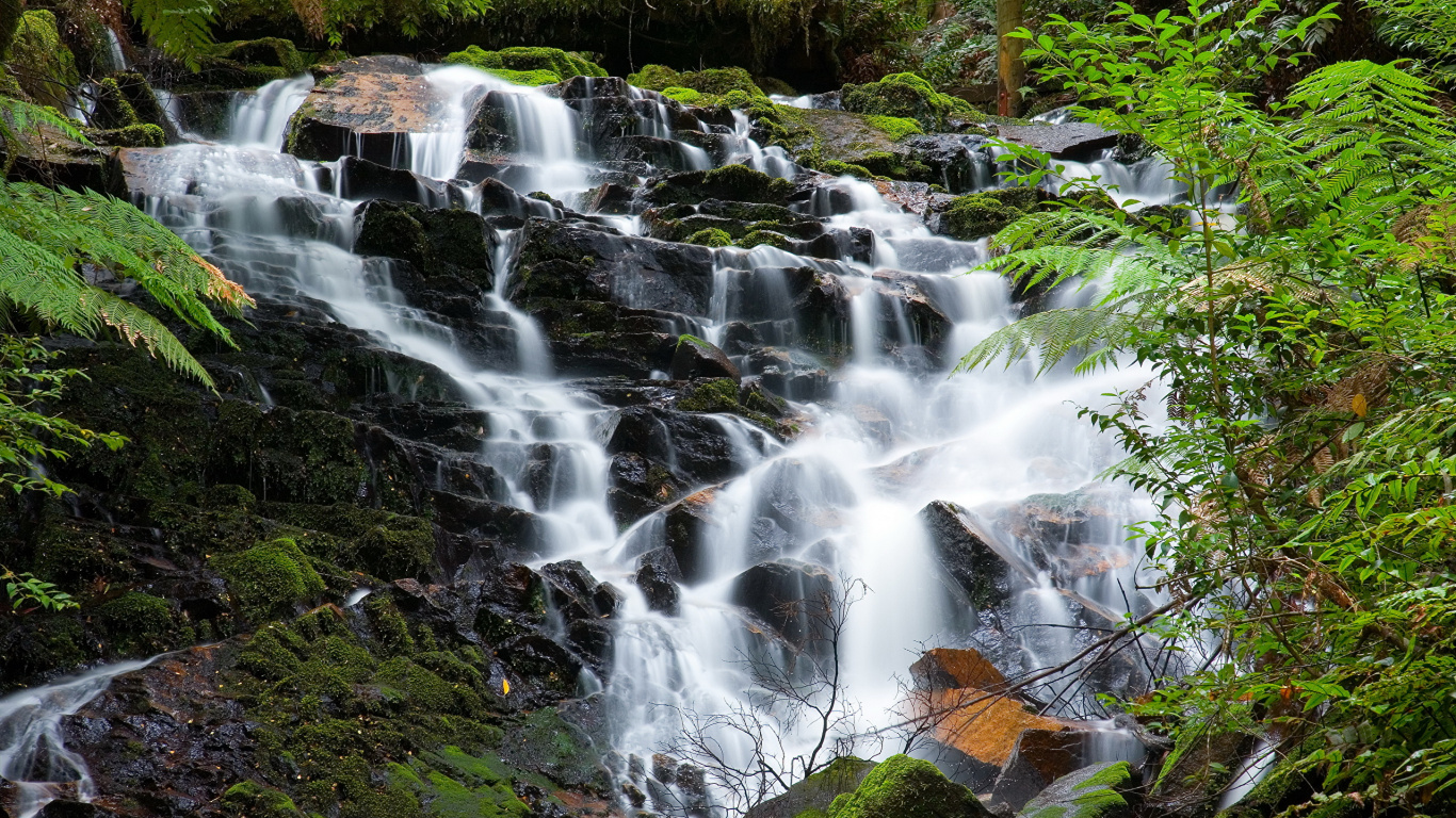 Water Falls in The Middle of The Forest. Wallpaper in 1366x768 Resolution