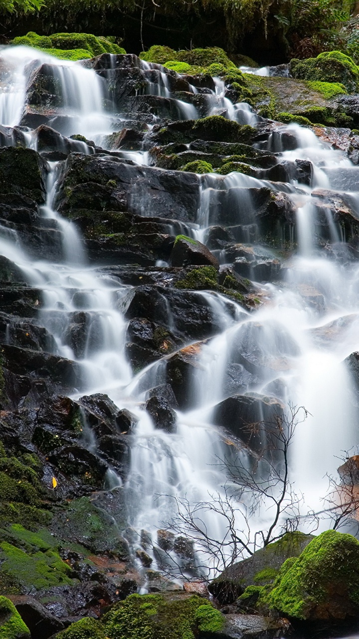 Water Falls in The Middle of The Forest. Wallpaper in 720x1280 Resolution