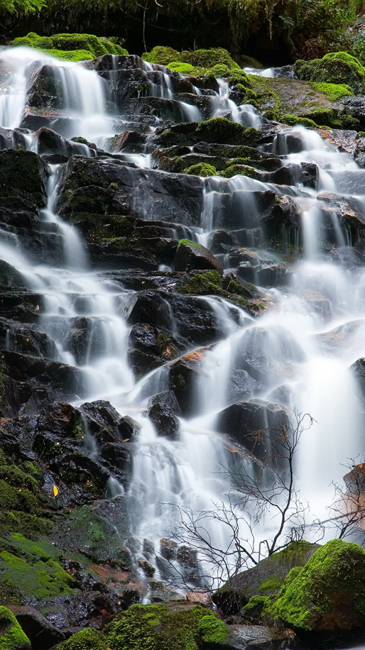 Water Falls in The Middle of The Forest. Wallpaper in 750x1334 Resolution