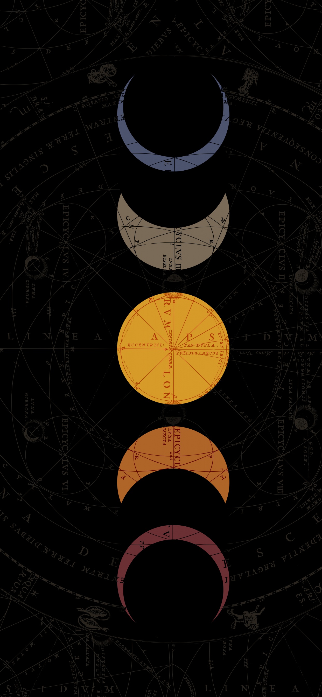 汽车轮胎, 艺术, 料酒店, 圆圈, 沥青 壁纸 1242x2688 允许