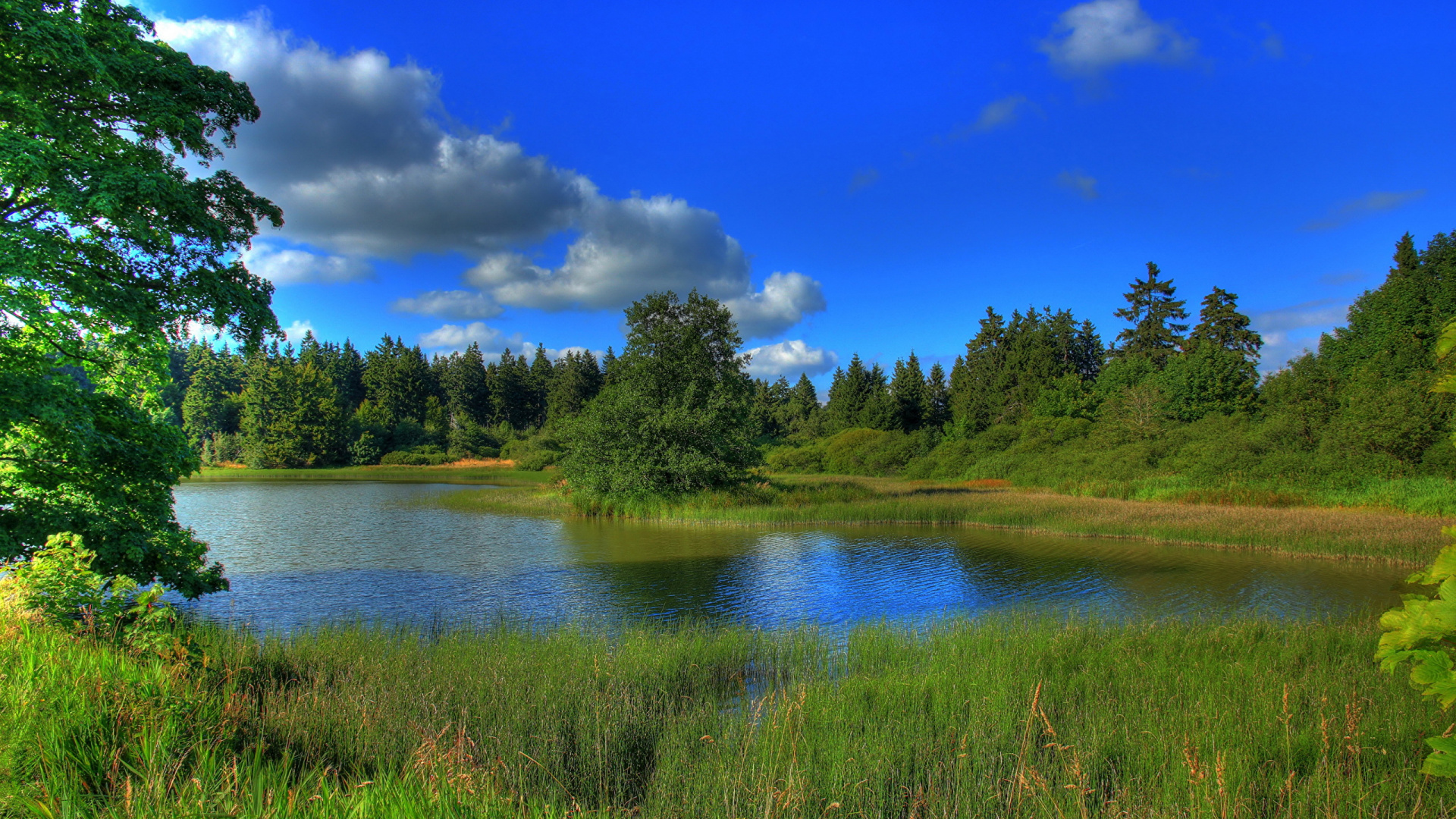 Green Trees Beside River Under Blue Sky During Daytime. Wallpaper in 1920x1080 Resolution