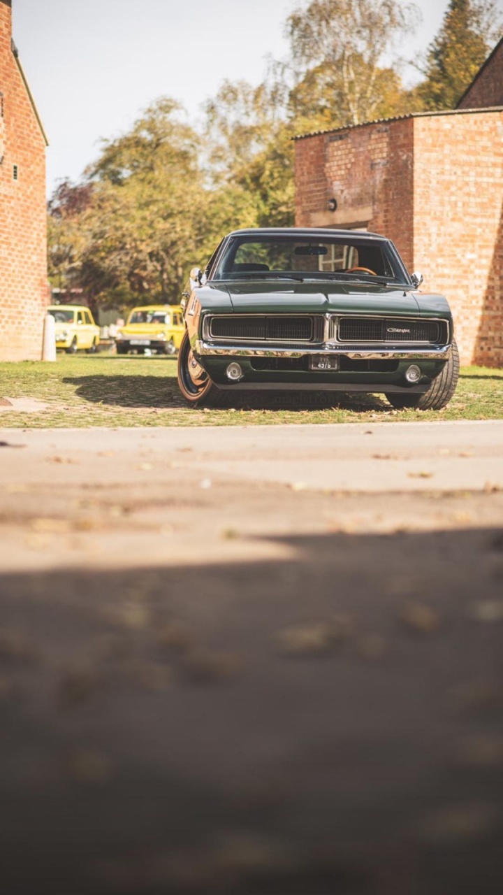 Reflexión, Dodge, Coche, Neumatico, Capucha. Wallpaper in 720x1280 Resolution