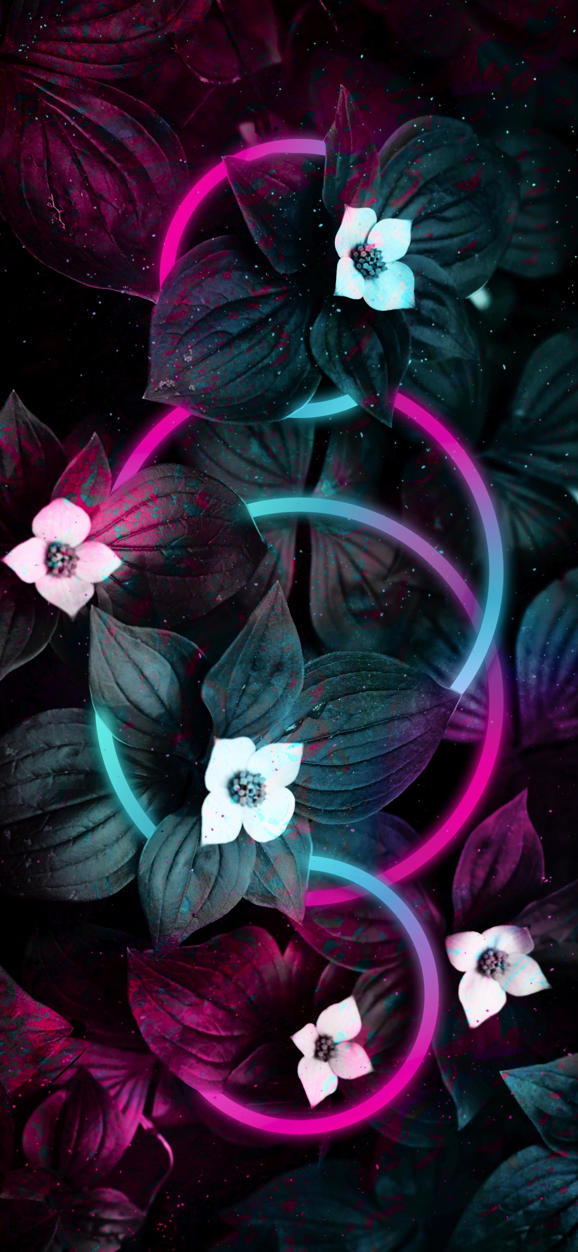 Apple, Purple, Pétale, Violette, Pink. Wallpaper in 1125x2436 Resolution