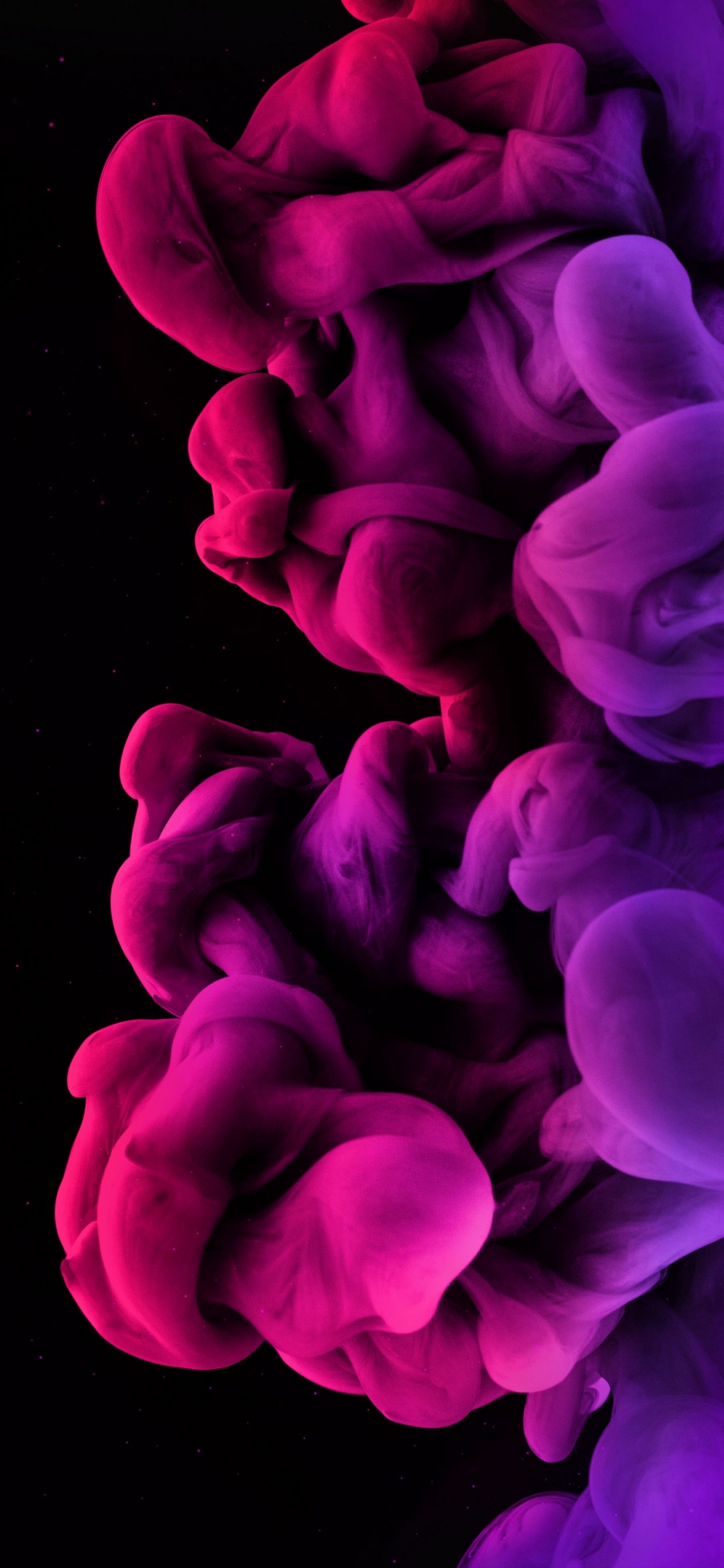 Petal, Purple, Gesture, Plant, Pink. Wallpaper in 1242x2688 Resolution