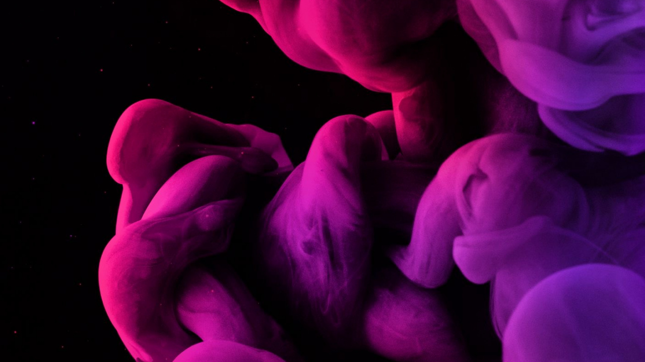 Petal, Purple, Gesture, Plant, Pink. Wallpaper in 1280x720 Resolution