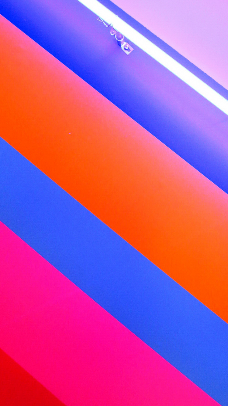 Orange, la Pureté de la Couleur, Purple, Violette, Magenta. Wallpaper in 750x1334 Resolution