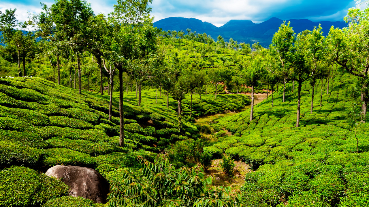 Green Grass Field Under Blue Sky During Daytime. Wallpaper in 1280x720 Resolution