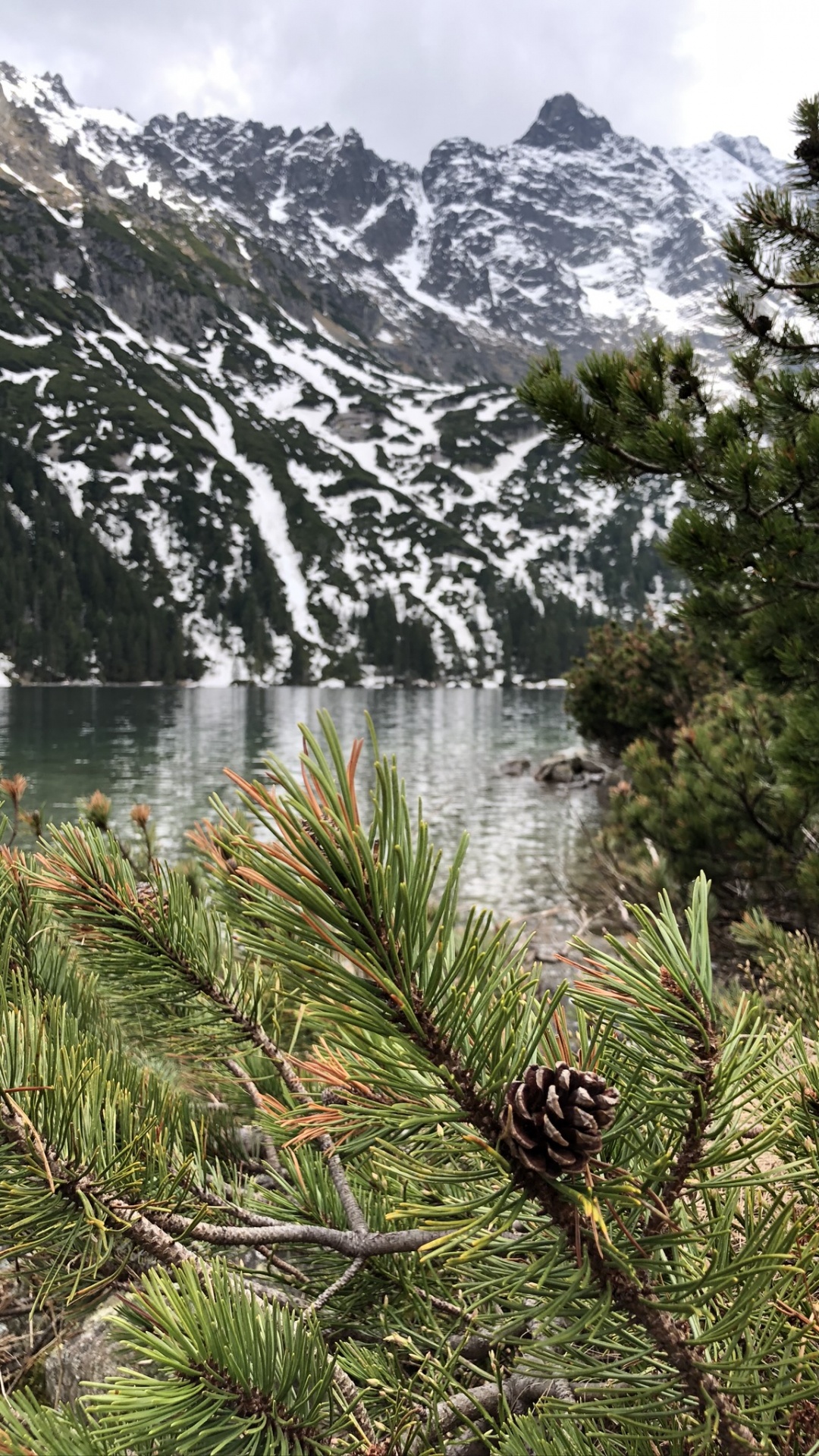 Natur, Bergigen Landschaftsformen, Bergkette, Woody Pflanze, Tal. Wallpaper in 1080x1920 Resolution