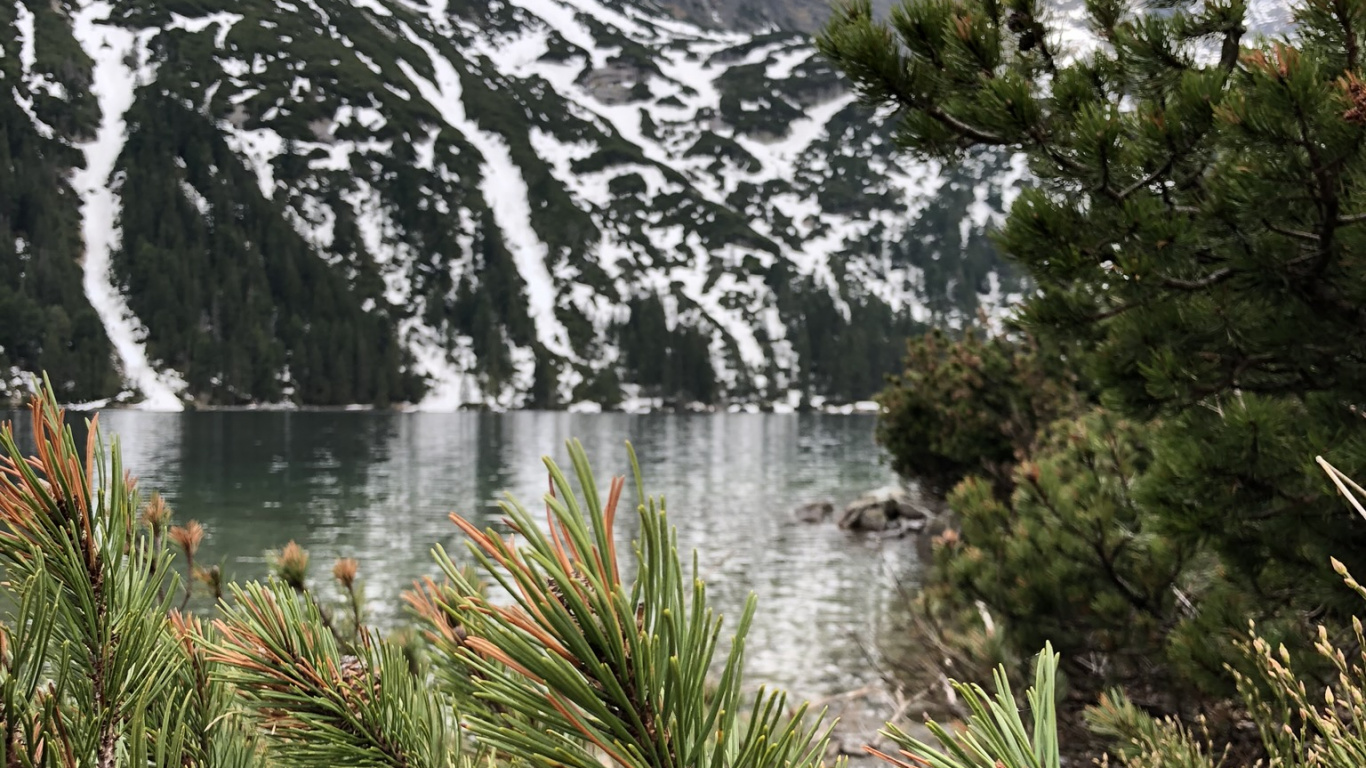 Natur, Bergigen Landschaftsformen, Bergkette, Woody Pflanze, Tal. Wallpaper in 1366x768 Resolution