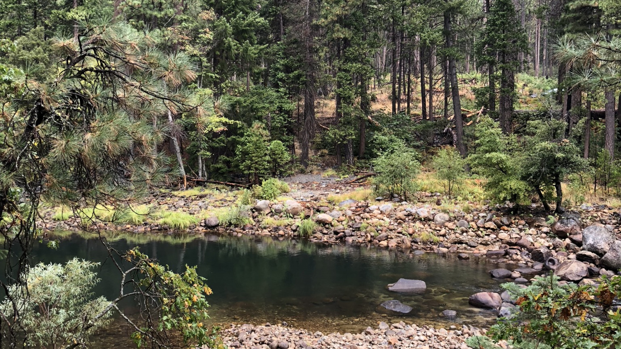 Desierto, la Vegetación, Bioma, Templado de Coníferas Bosque, Entorno Natural. Wallpaper in 1280x720 Resolution