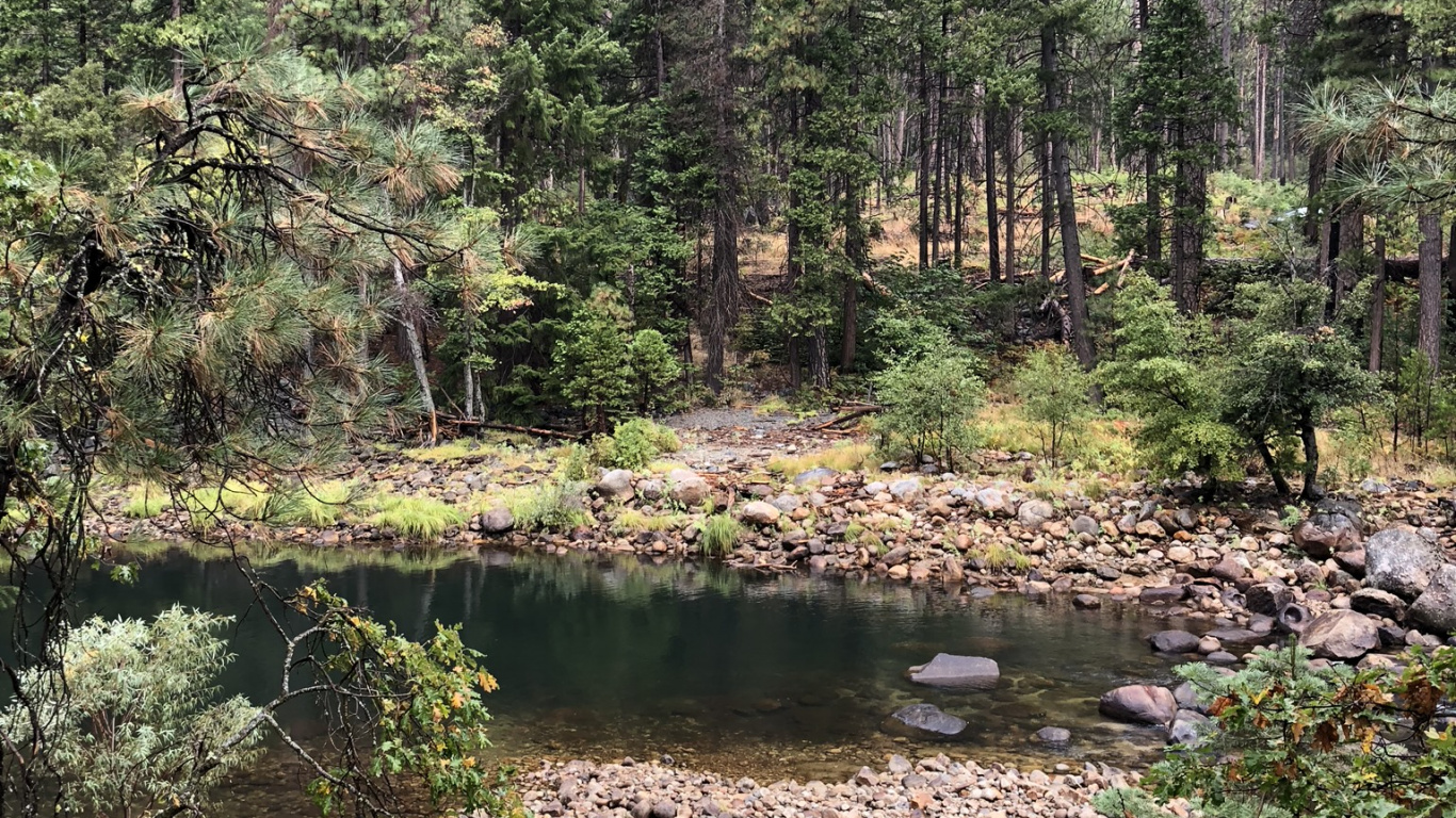 Wilderness, Vegetation, Biome, Temperate Coniferous Forest, Natural Environment. Wallpaper in 1366x768 Resolution