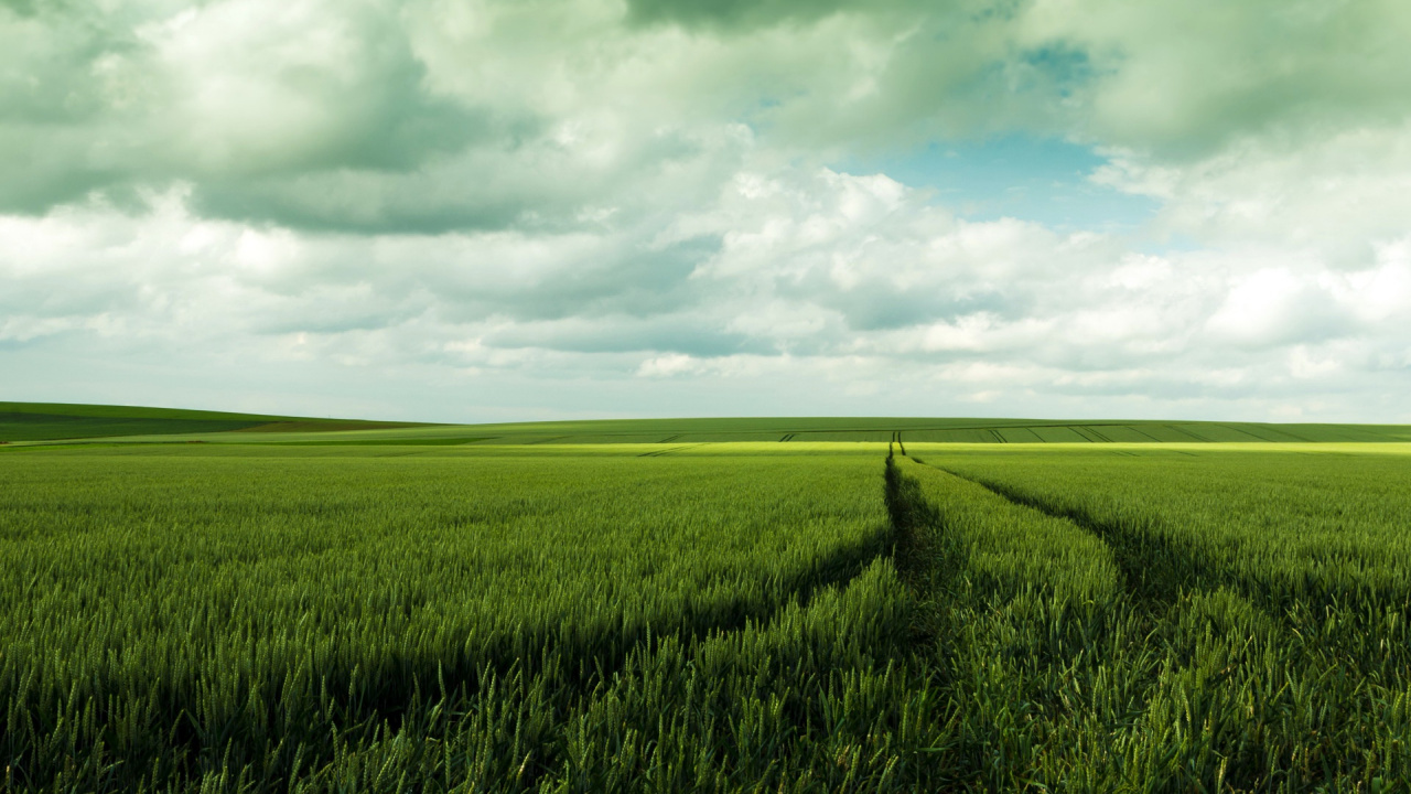 Green Grass Field Under Cloudy Sky During Daytime. Wallpaper in 1280x720 Resolution
