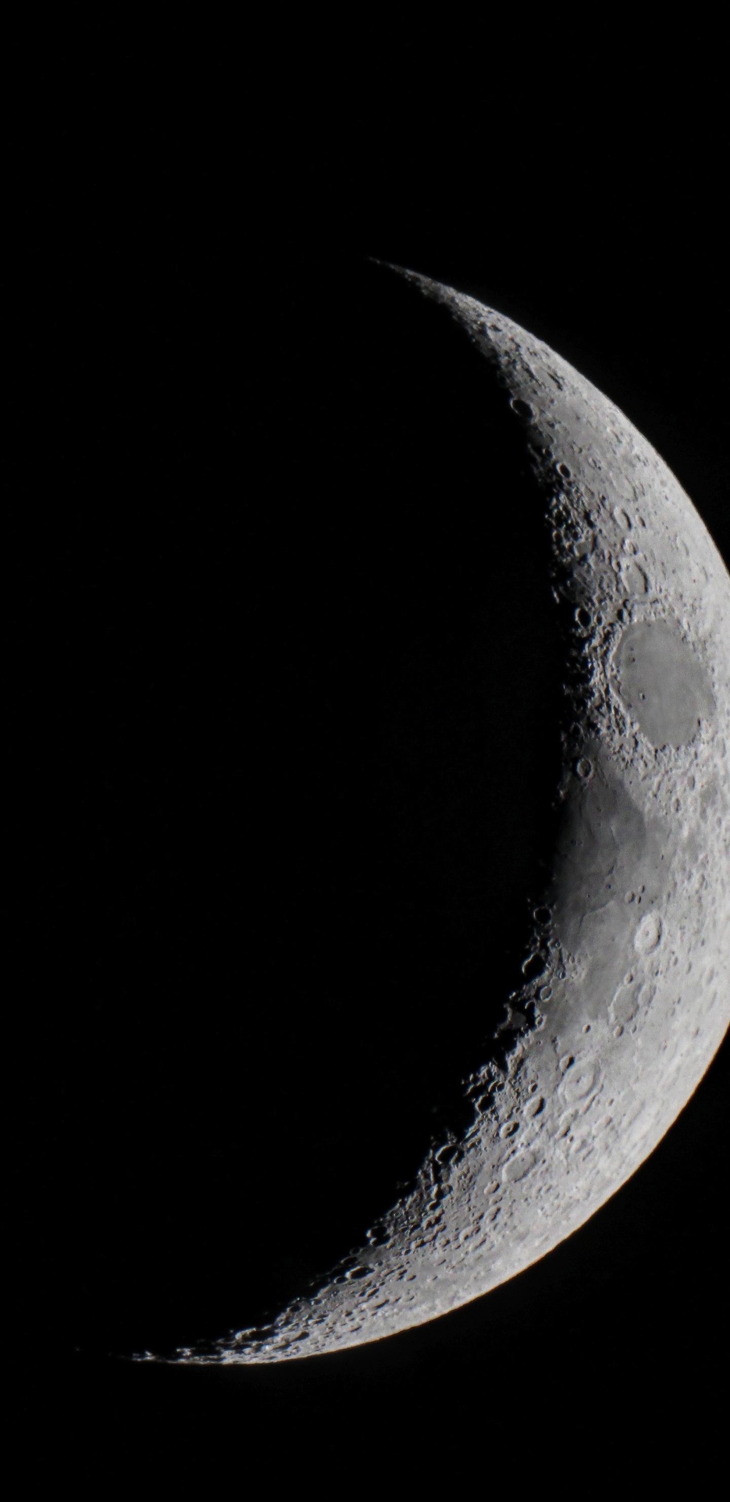 4e Jour Après la Nouvelle Lune, Pleine Lune, Phase Lunaire, Vénus, Nouvelle Lune. Wallpaper in 1440x2960 Resolution