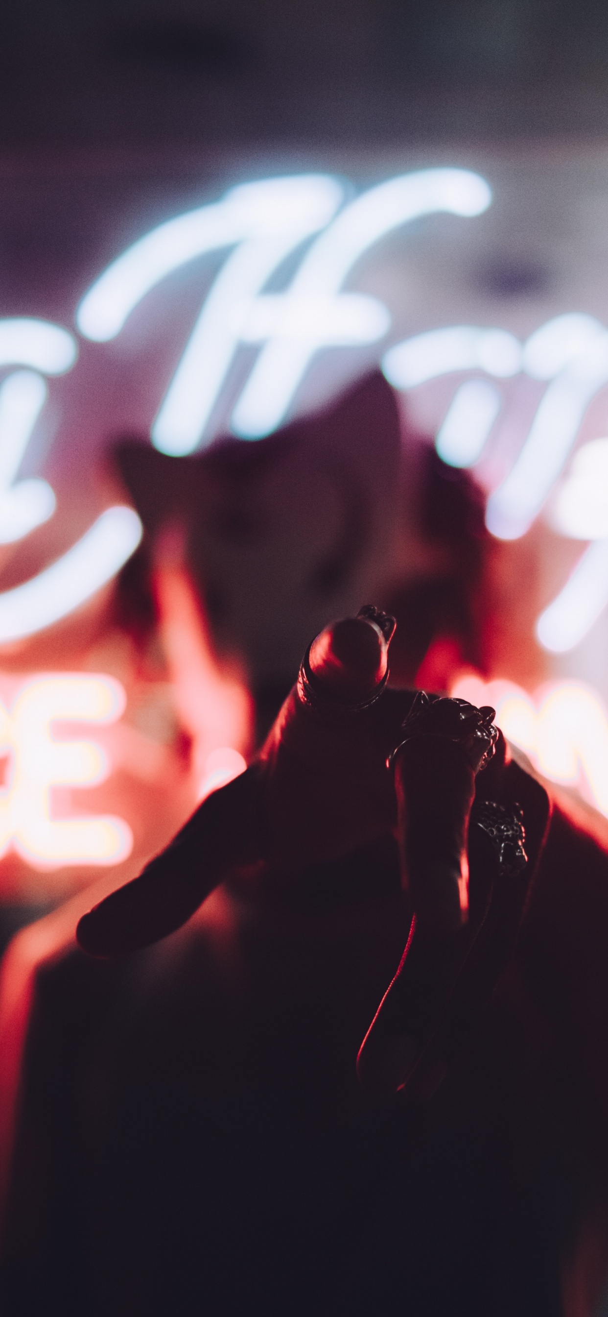 红色的, 光, 文本, 快照, 品红色 壁纸 1242x2688 允许