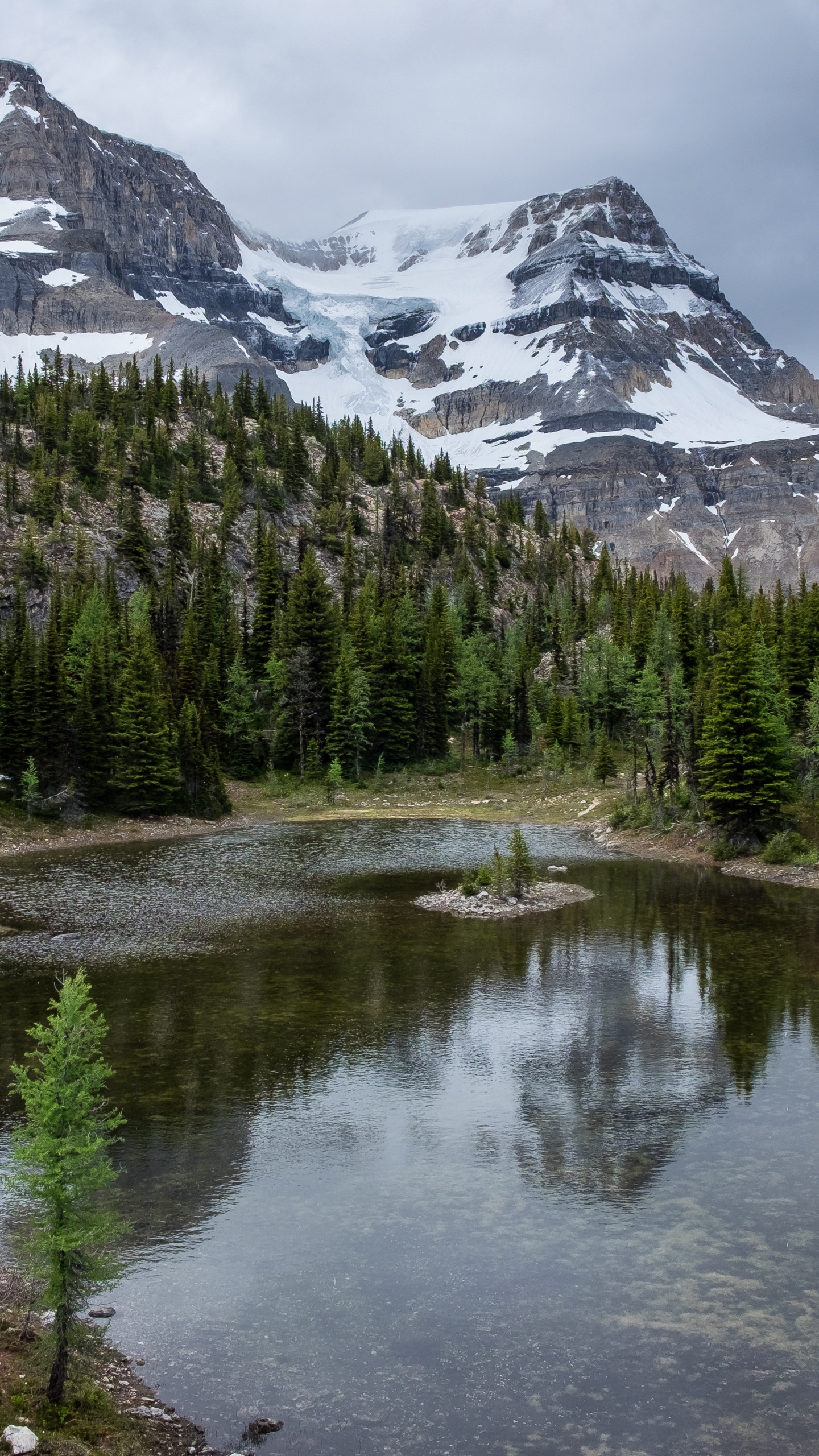 Wilderness, Water, Cloud, Mountain, Plant. Wallpaper in 1440x2560 Resolution