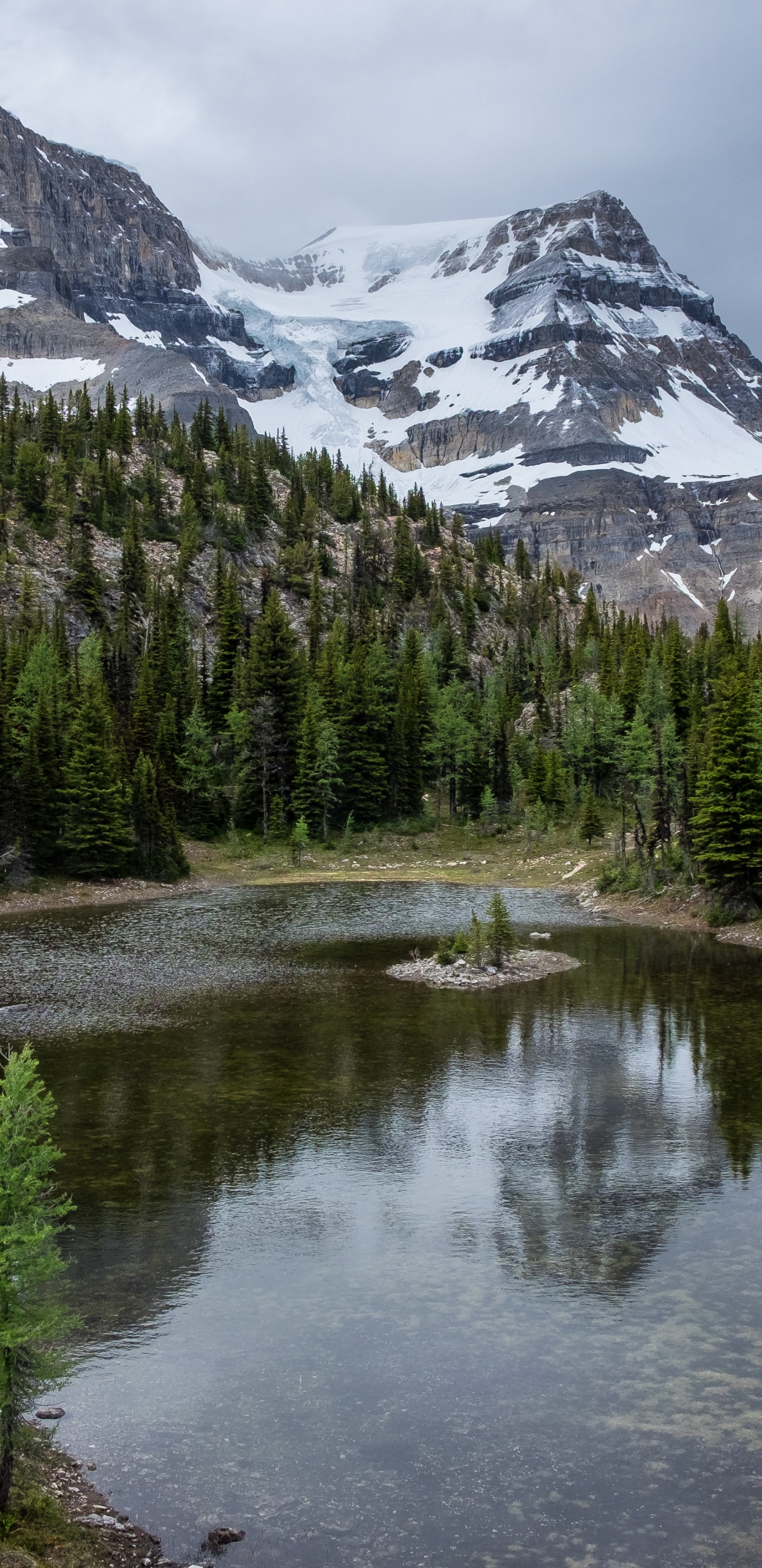 Wilderness, Water, Cloud, Mountain, Plant. Wallpaper in 1440x2960 Resolution